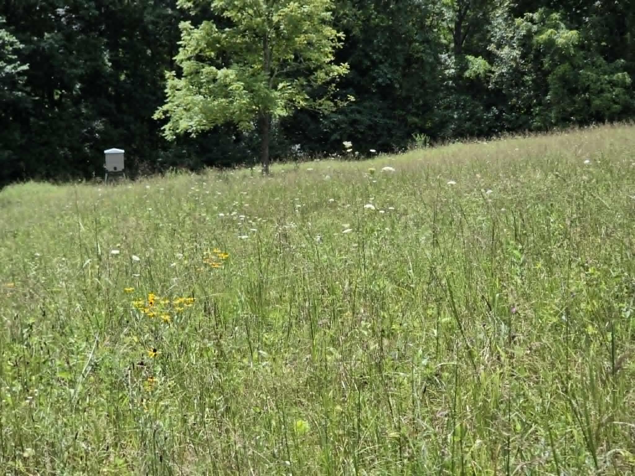 811 Hickory Ridge Road Property Photo 56