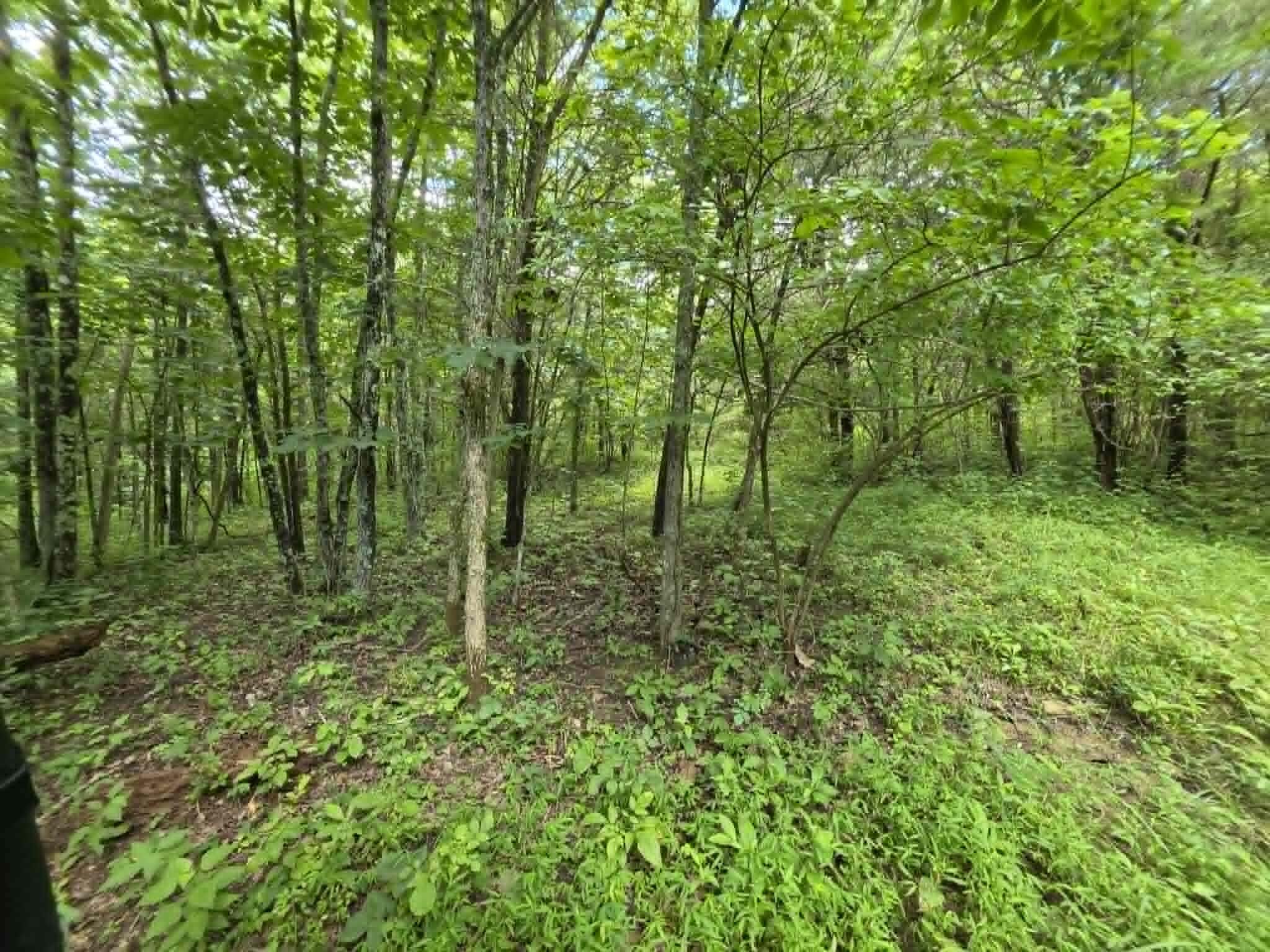 811 Hickory Ridge Road Property Photo 57