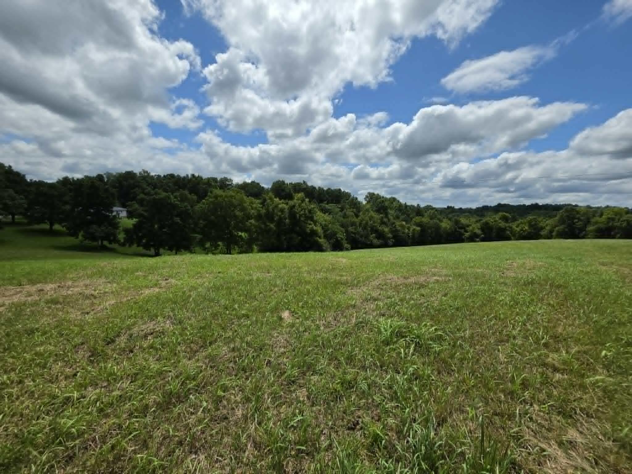 811 Hickory Ridge Road Property Photo 64
