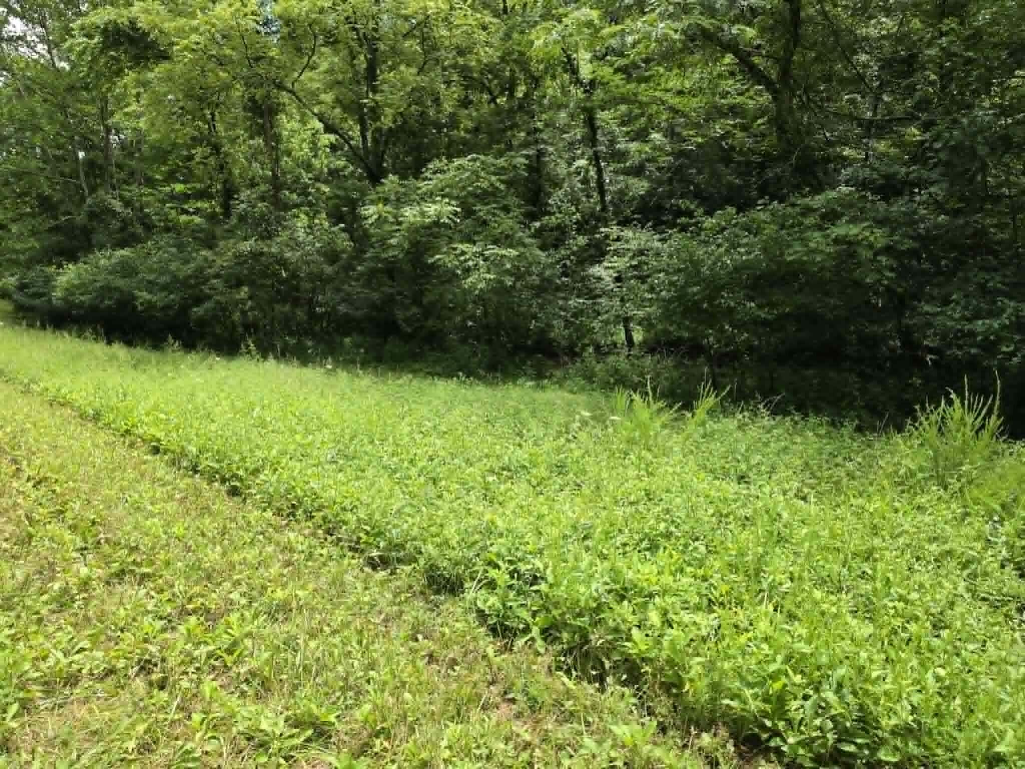 811 Hickory Ridge Road Property Photo 65