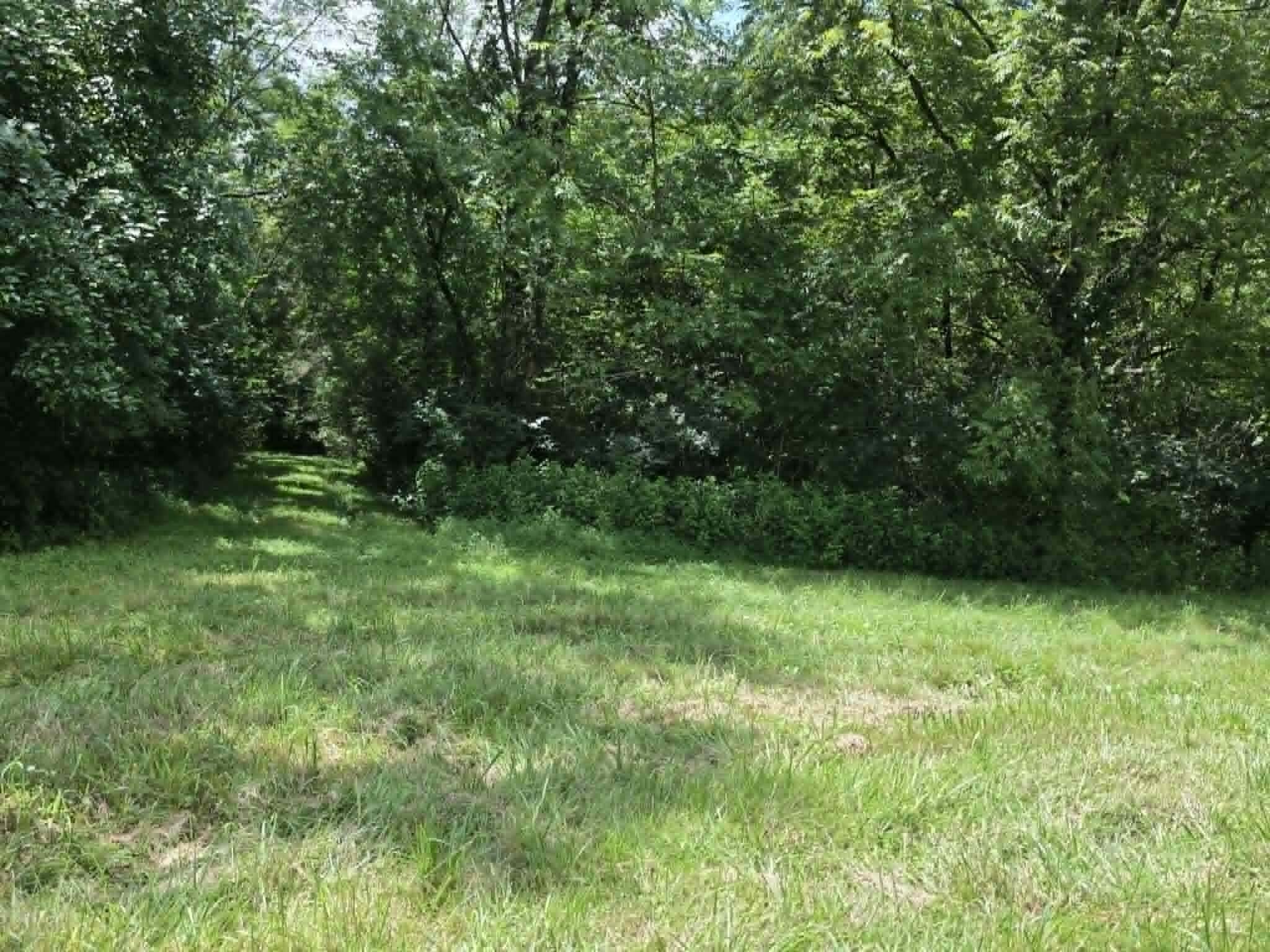 811 Hickory Ridge Road Property Photo 66