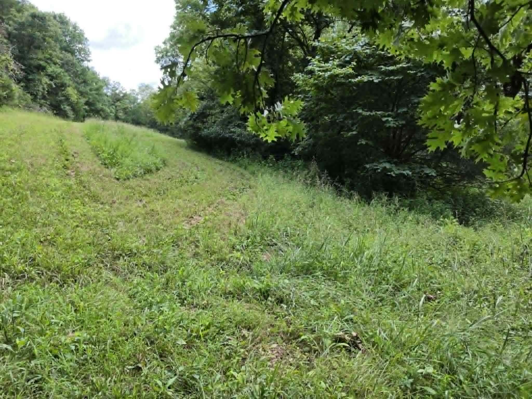 811 Hickory Ridge Road Property Photo 69