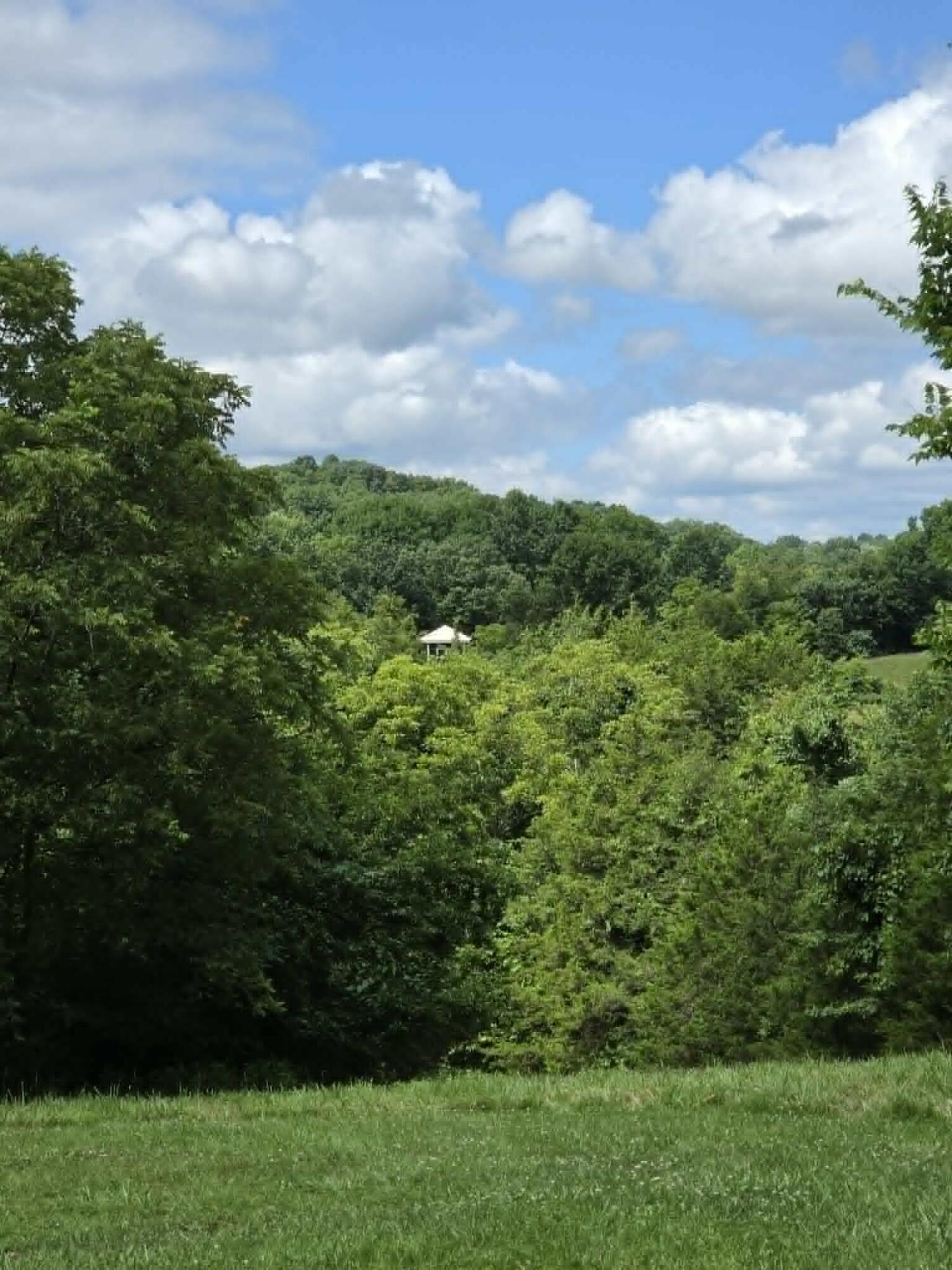 811 Hickory Ridge Road Property Photo 71