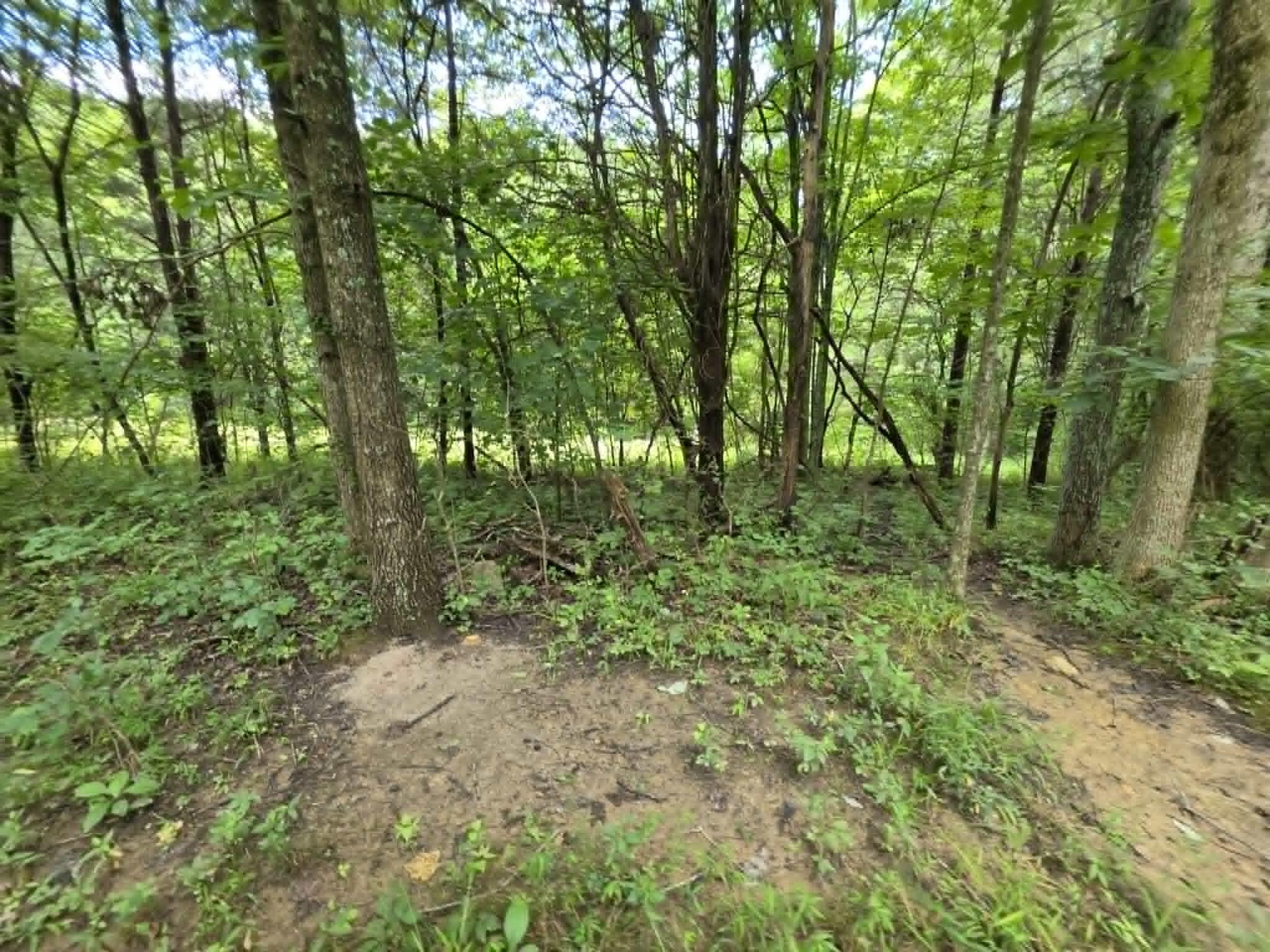 811 Hickory Ridge Road Property Photo 74