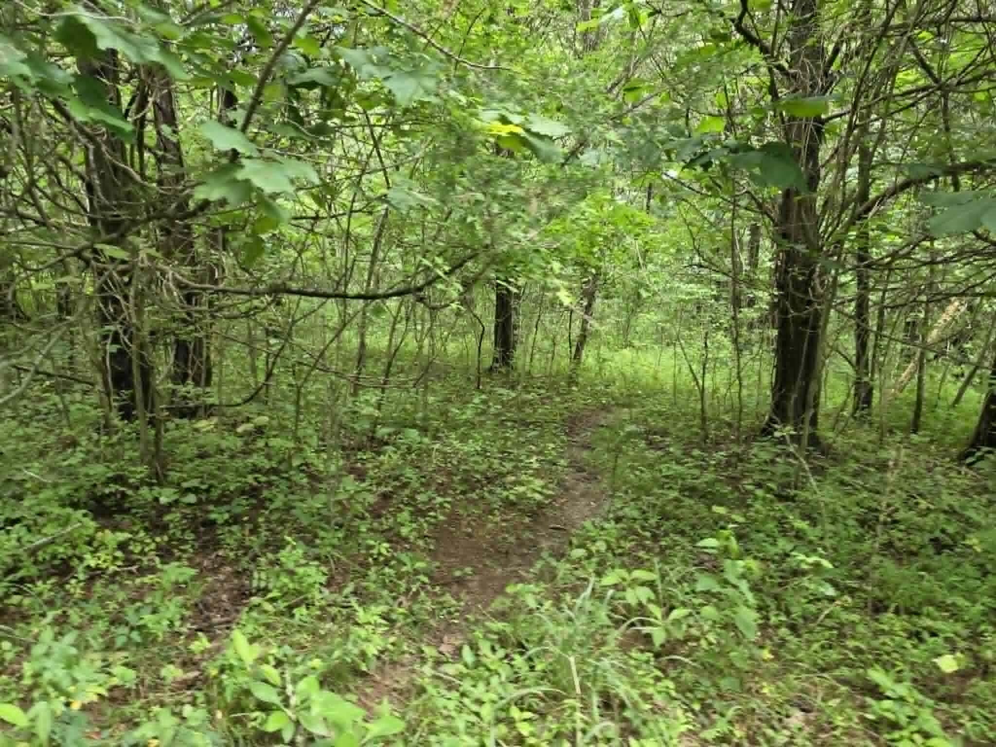 811 Hickory Ridge Road Property Photo 75