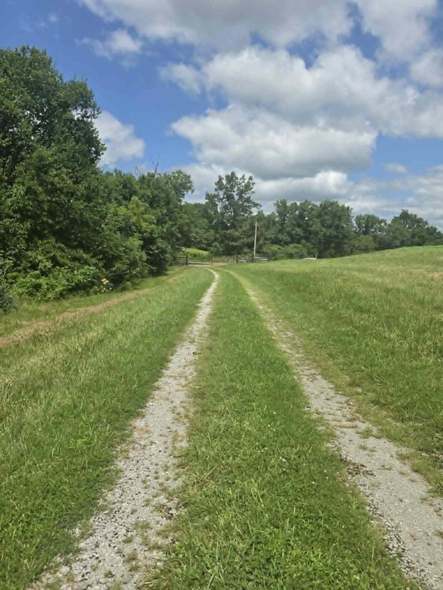 811 Hickory Ridge Road Property Photo 77