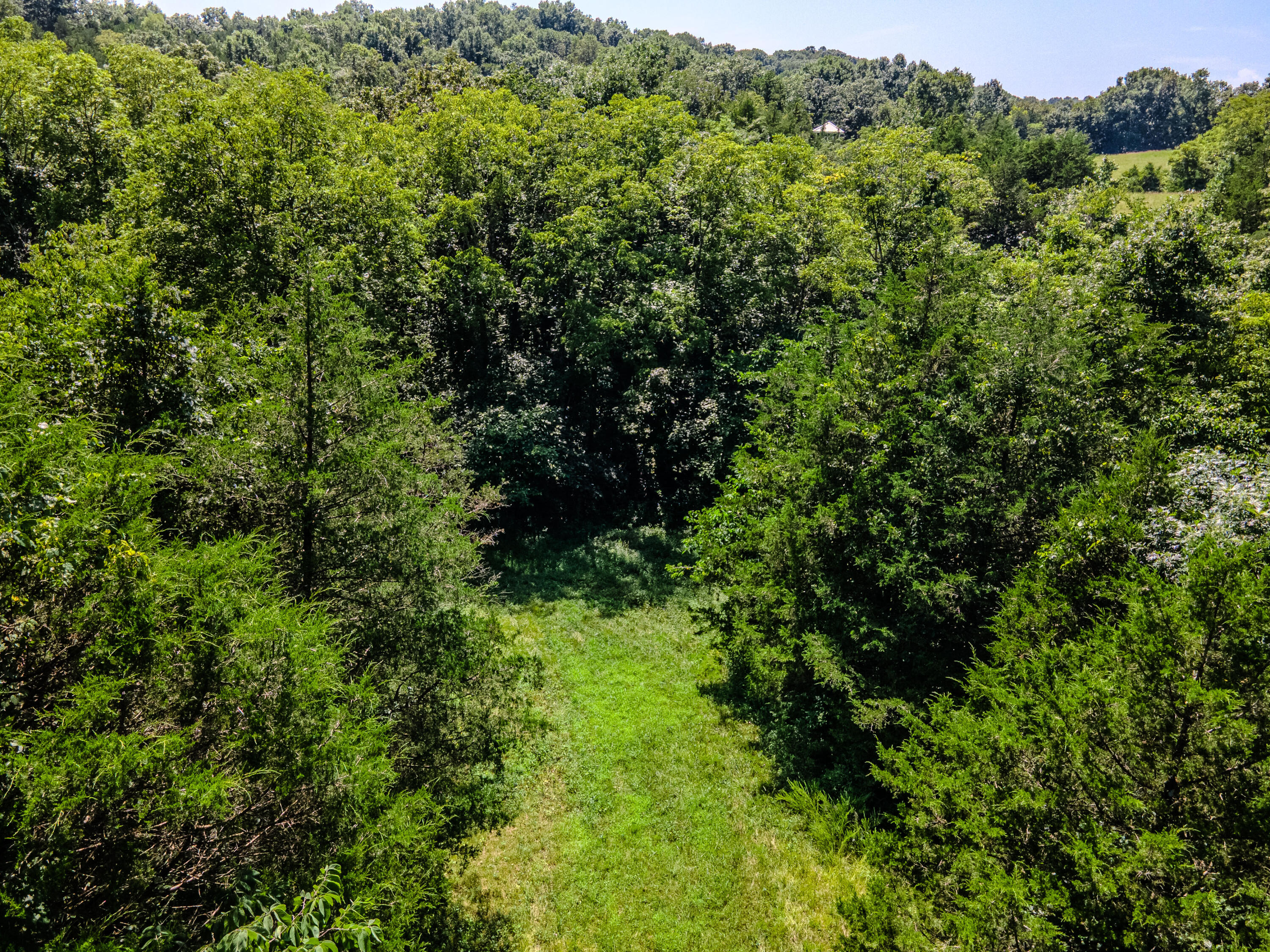 811 Hickory Ridge Road Property Photo 79