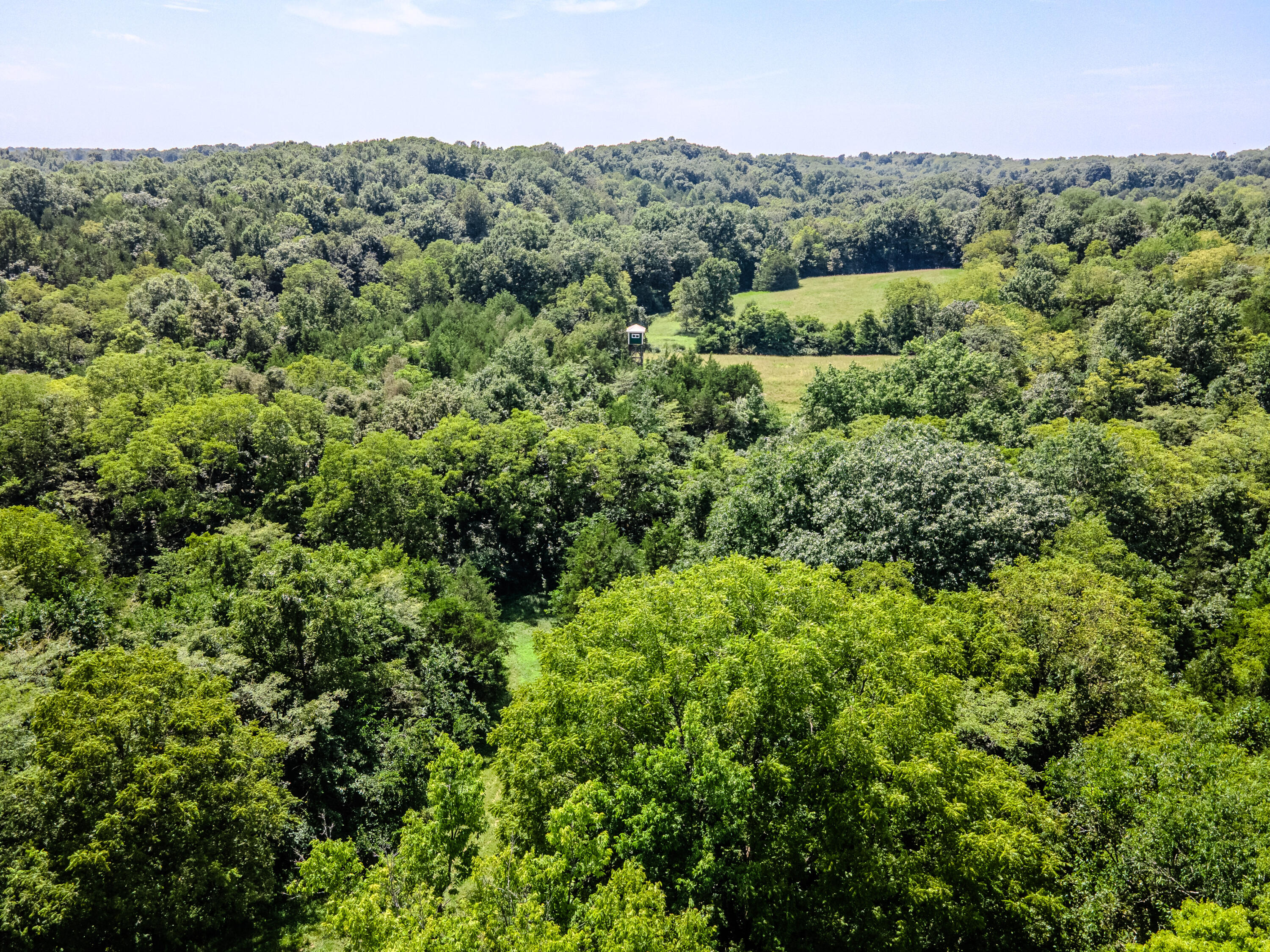 811 Hickory Ridge Road Property Photo 81