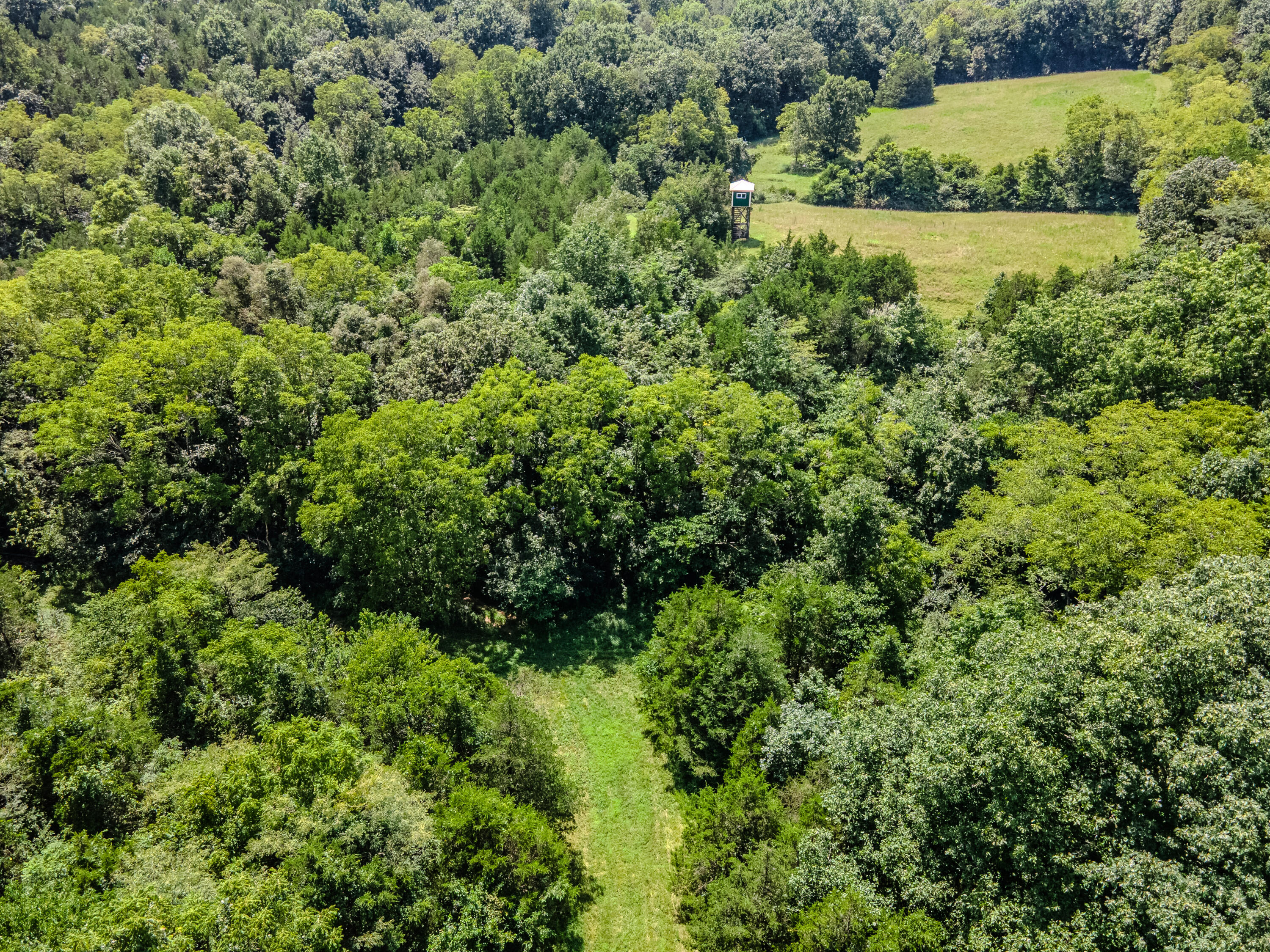 811 Hickory Ridge Road Property Photo 83