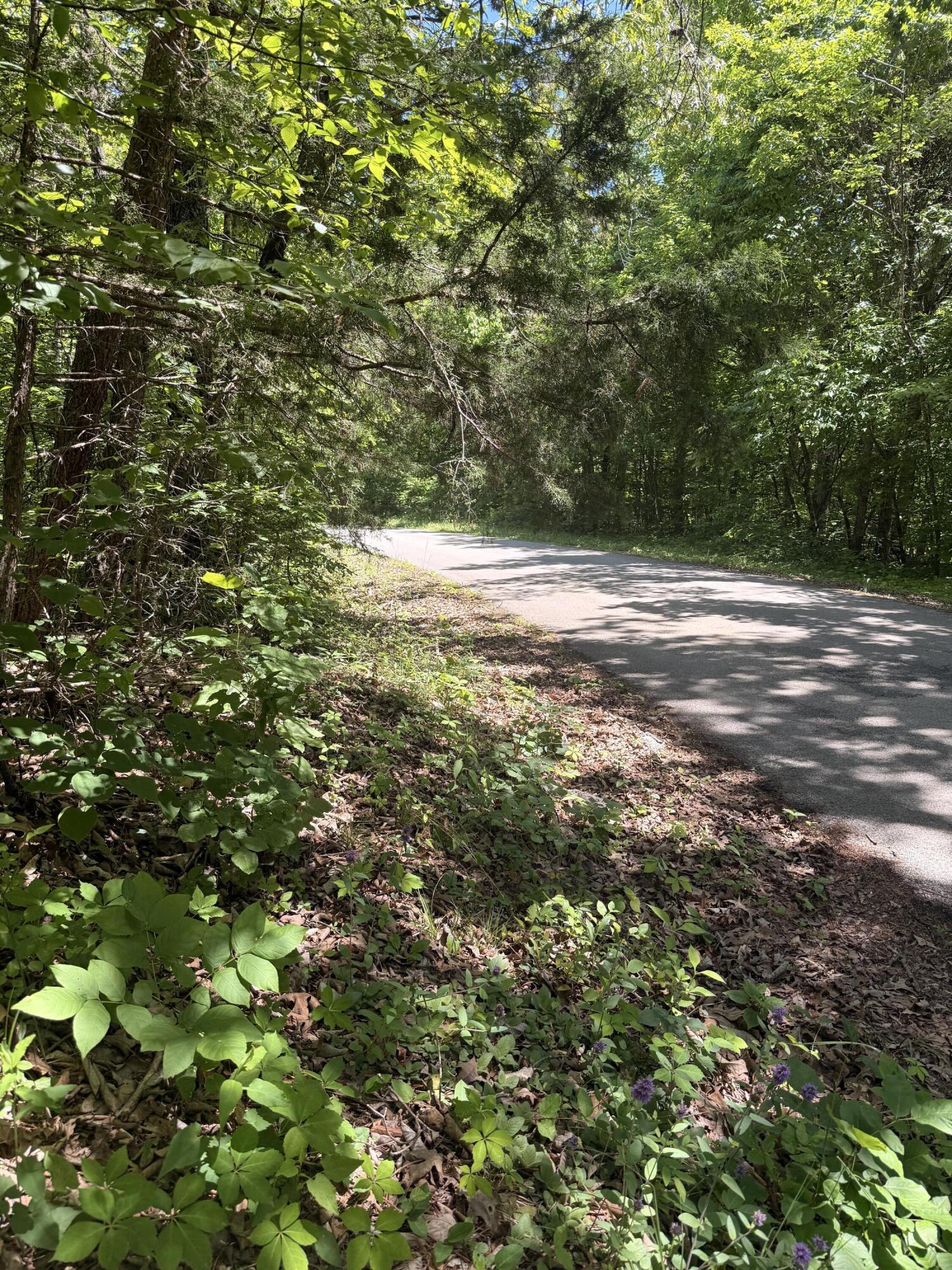 5 Acres Pine Tree Circle Property Photo 1