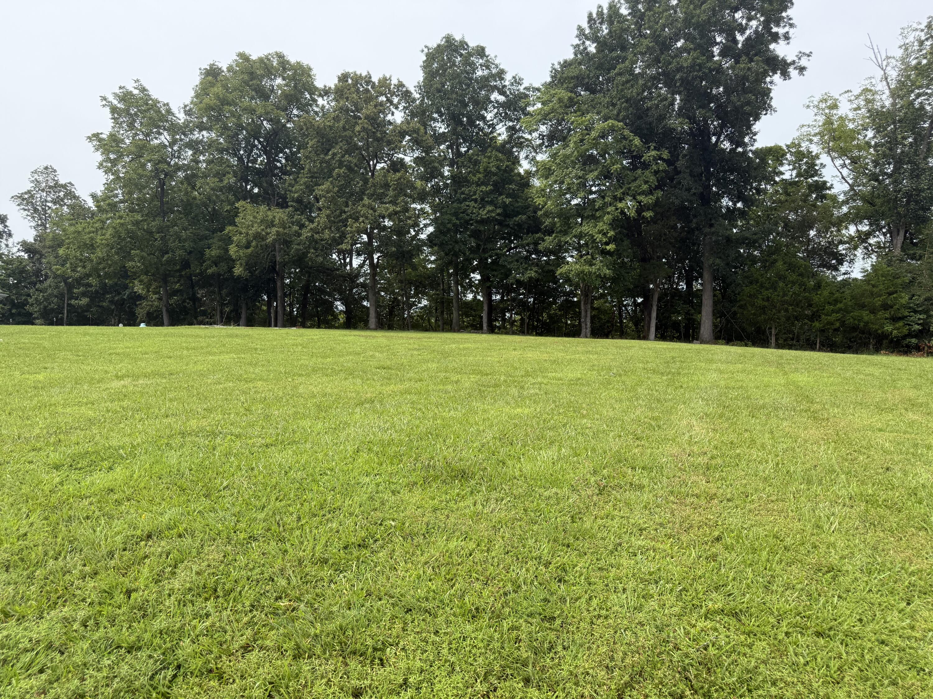 Lot 13 Cedar Pointe Drive Property Photo 4