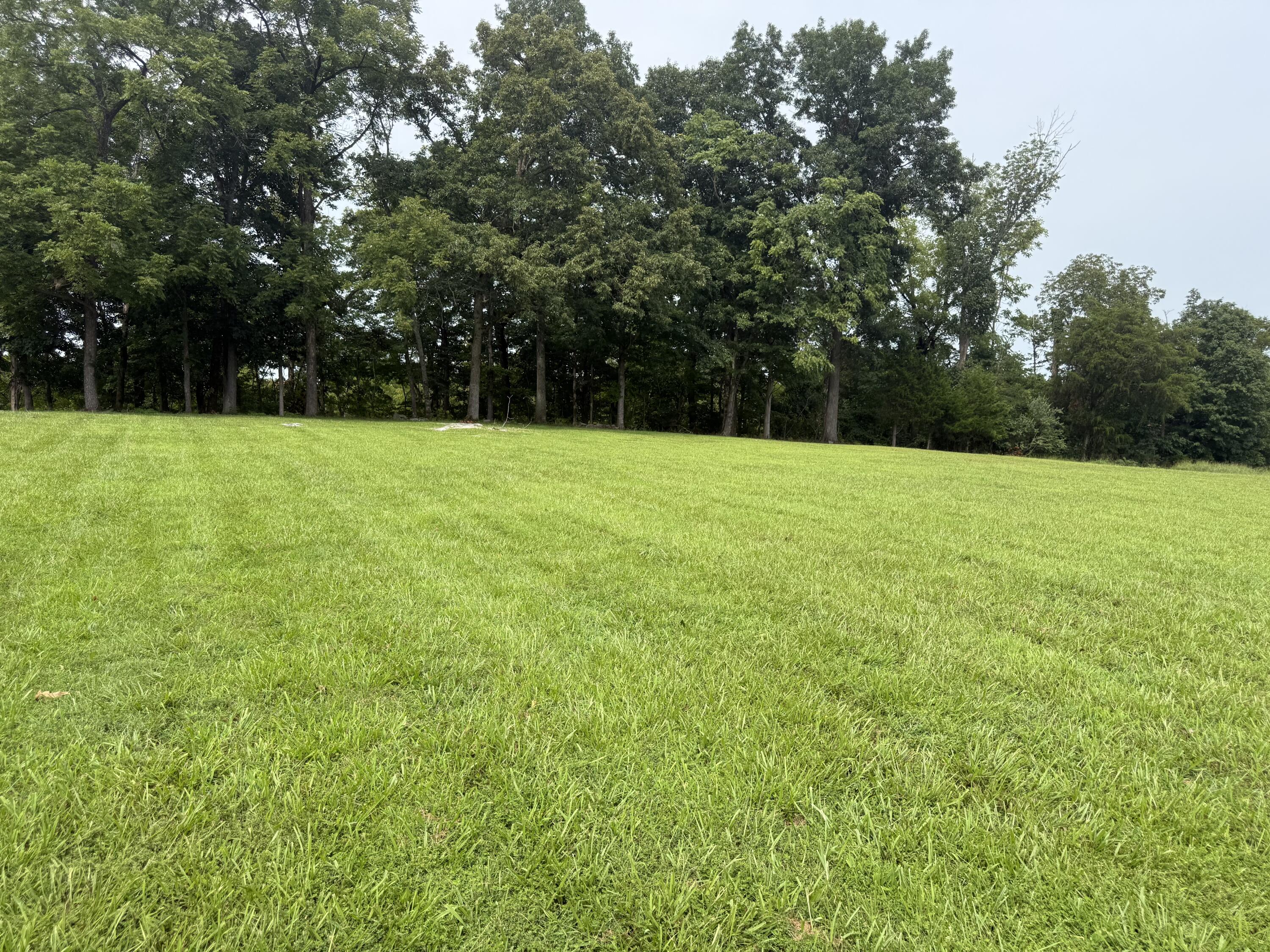 Lot 13 Cedar Pointe Drive Property Photo 5