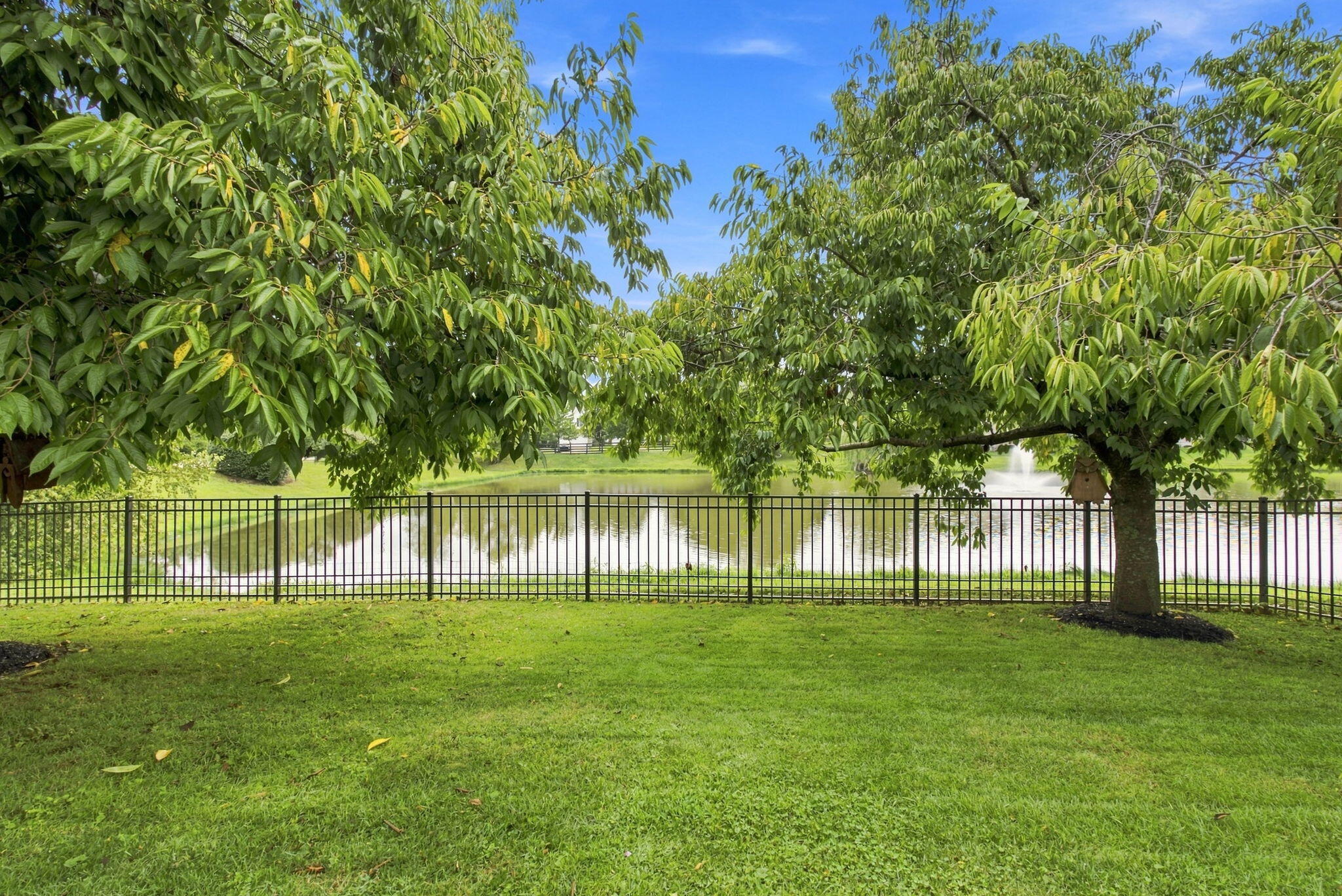 4512 Parsons Lane Property Photo 45