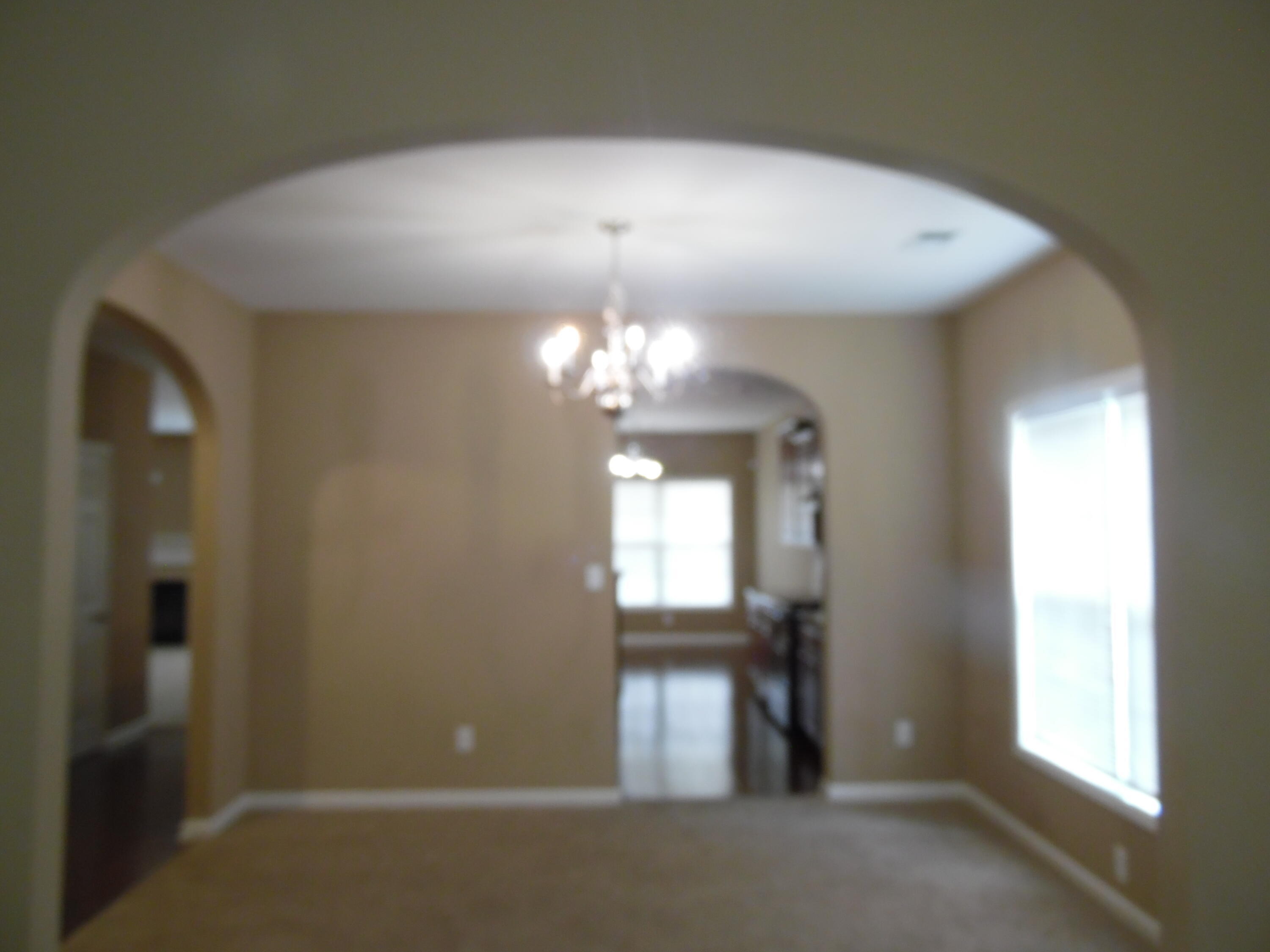 541 Bulrush Trace Property Photo 2