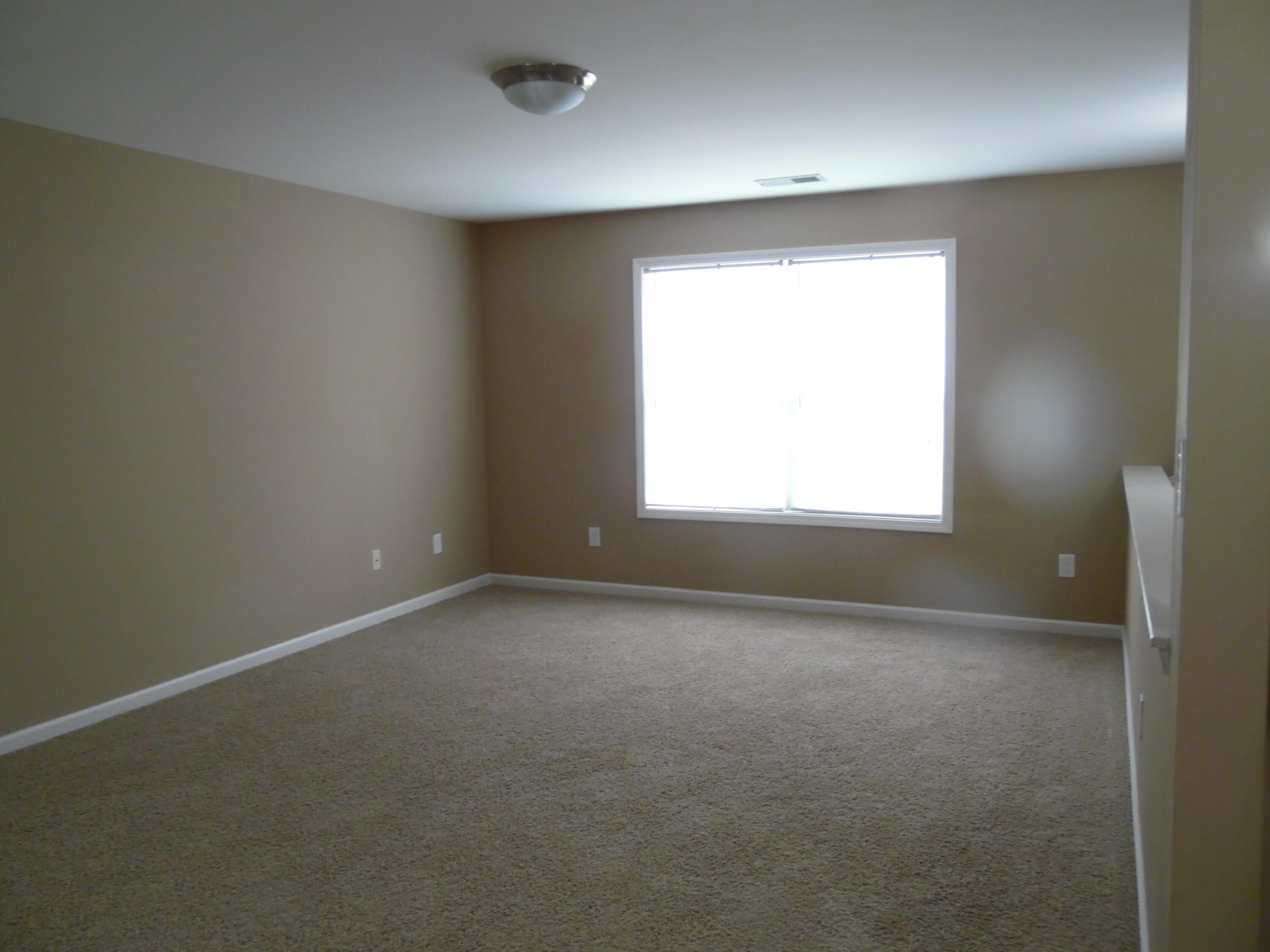 541 Bulrush Trace Property Photo 6