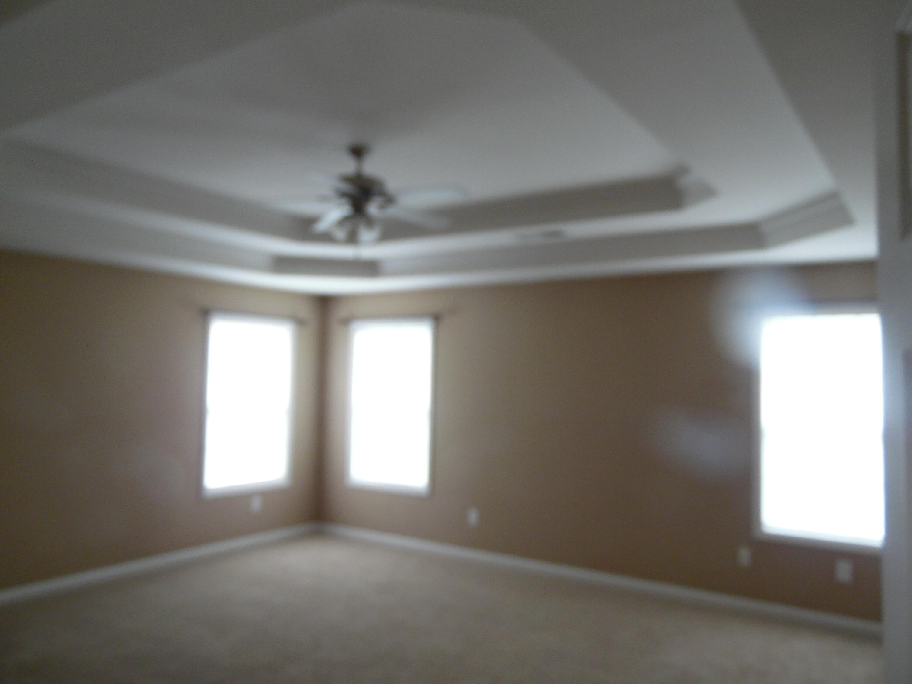 541 Bulrush Trace Property Photo 7