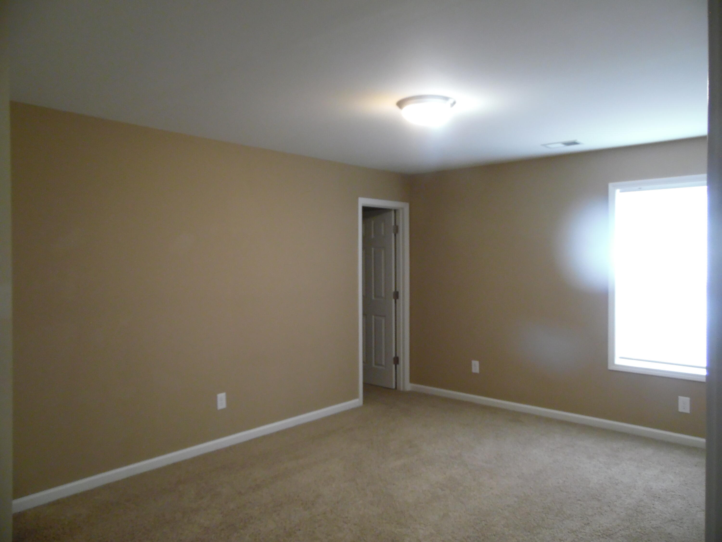 541 Bulrush Trace Property Photo 13