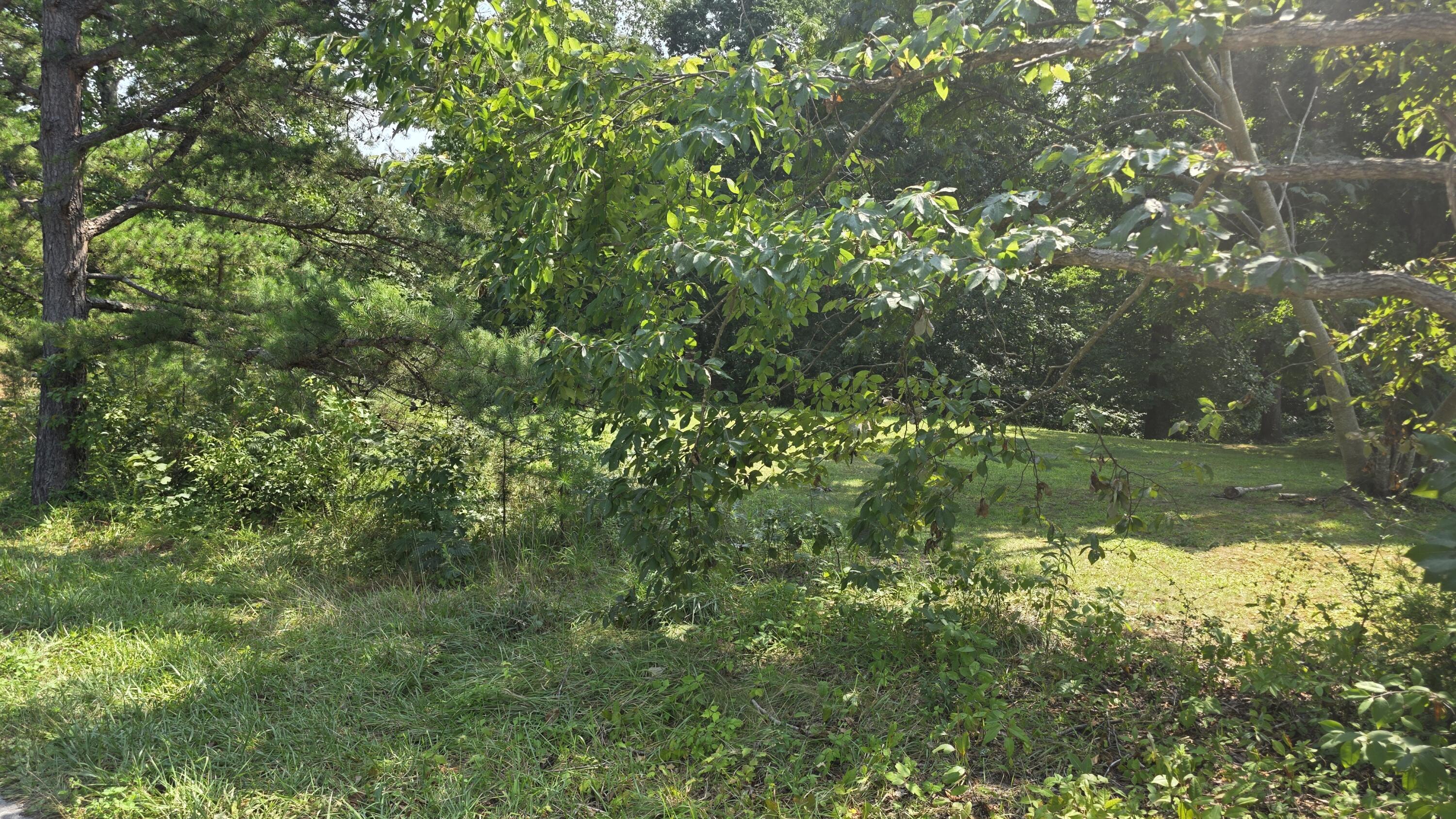 1142 Old Pitman Road Property Photo 27
