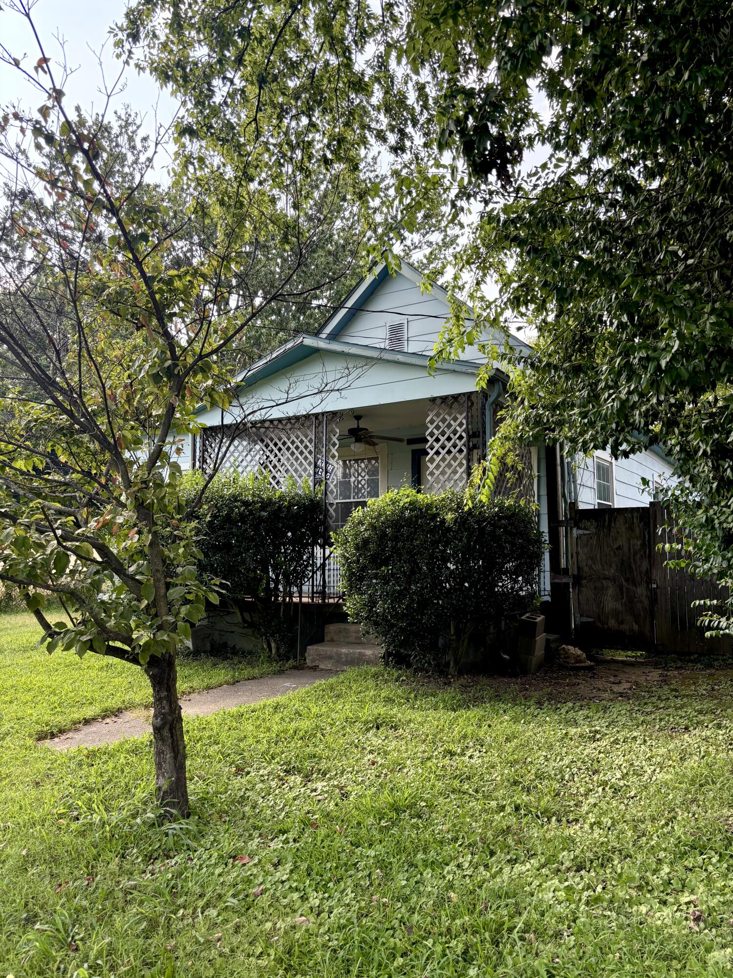 419 Elizabeth Property Photo 3