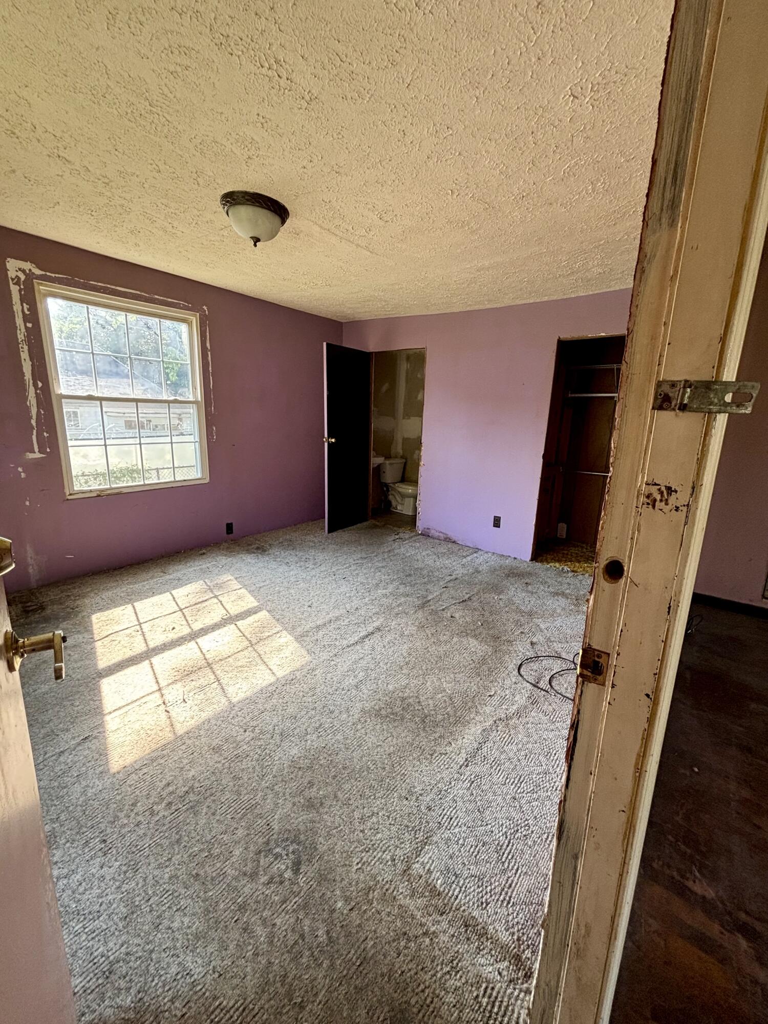 419 Elizabeth Property Photo 7