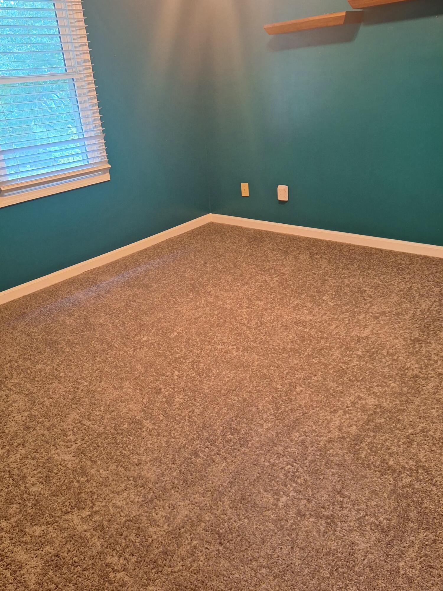 1712 Brook Park Drive Property Photo 19