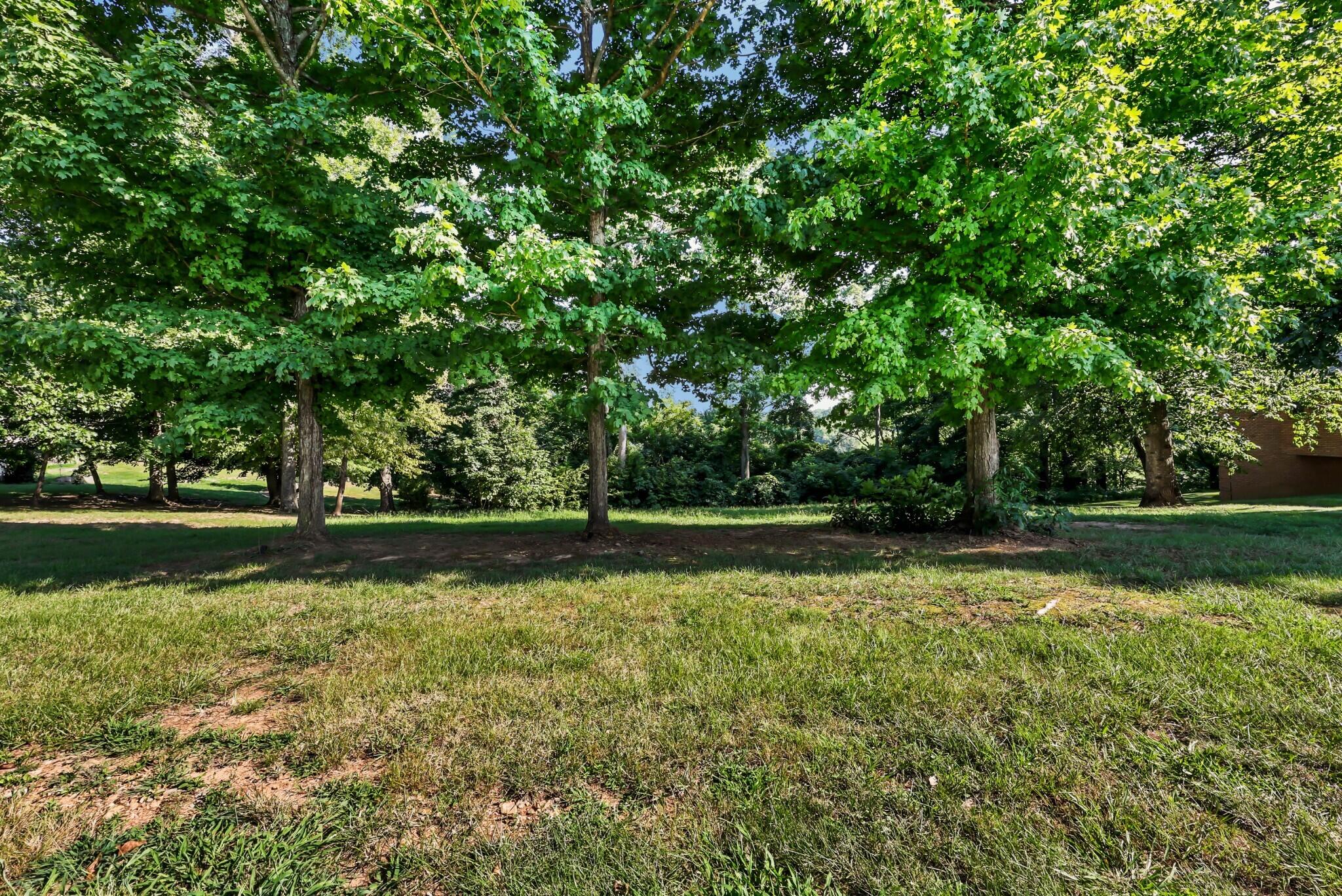 241 Sequoyah Trail Property Photo 45