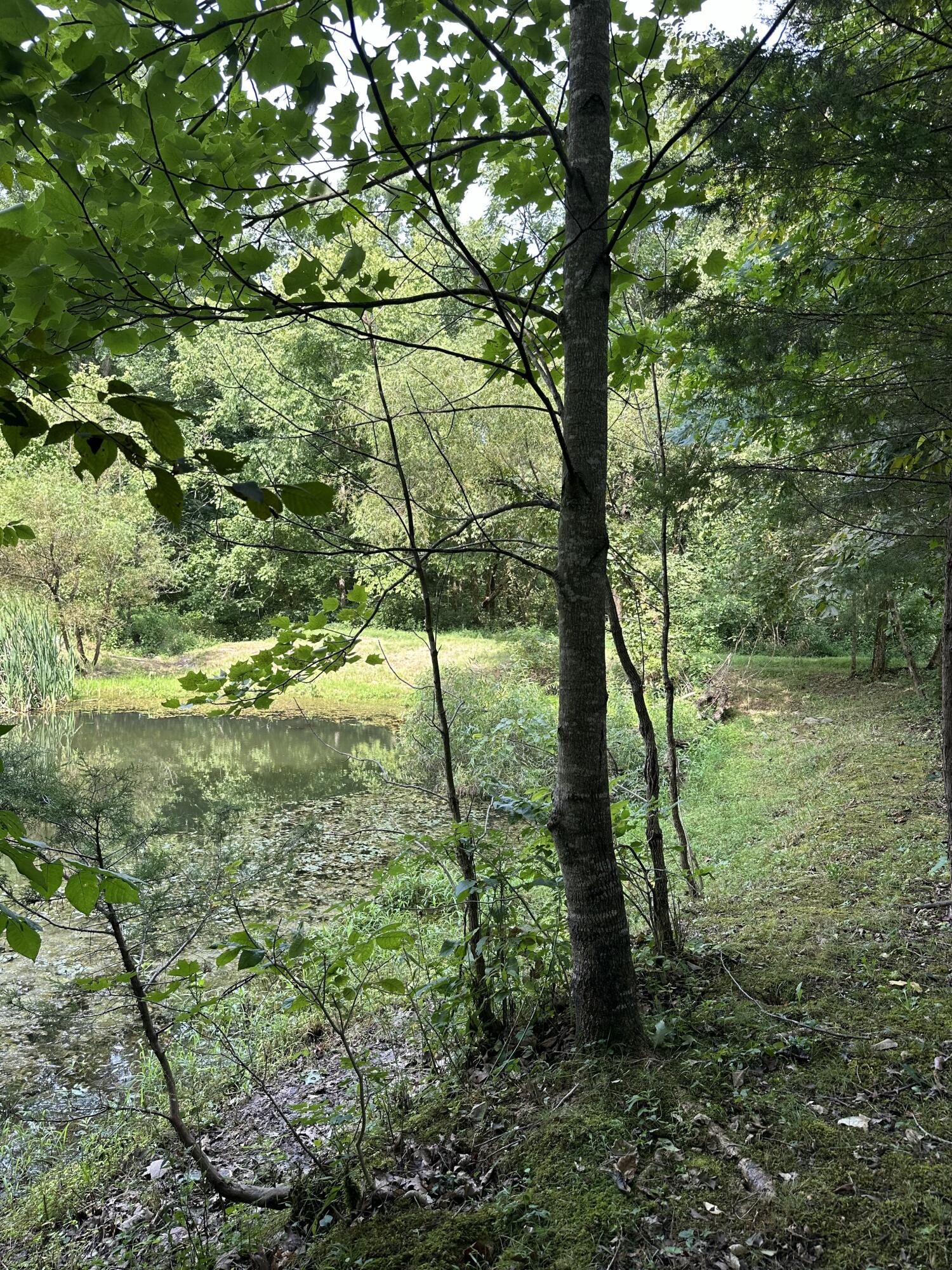 527 S Dividing Ridge Road Property Photo 11