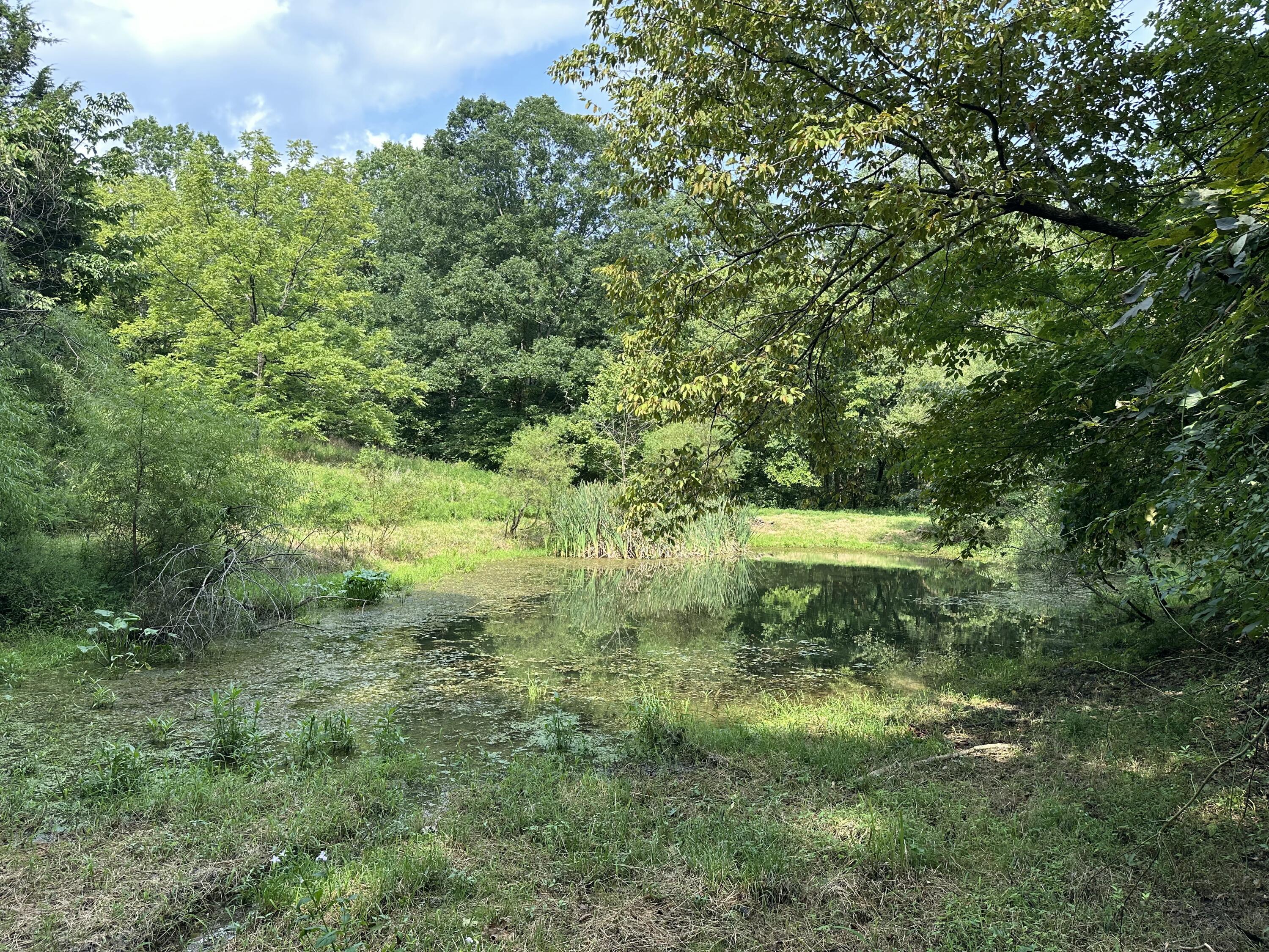 527 S Dividing Ridge Road Property Photo 12