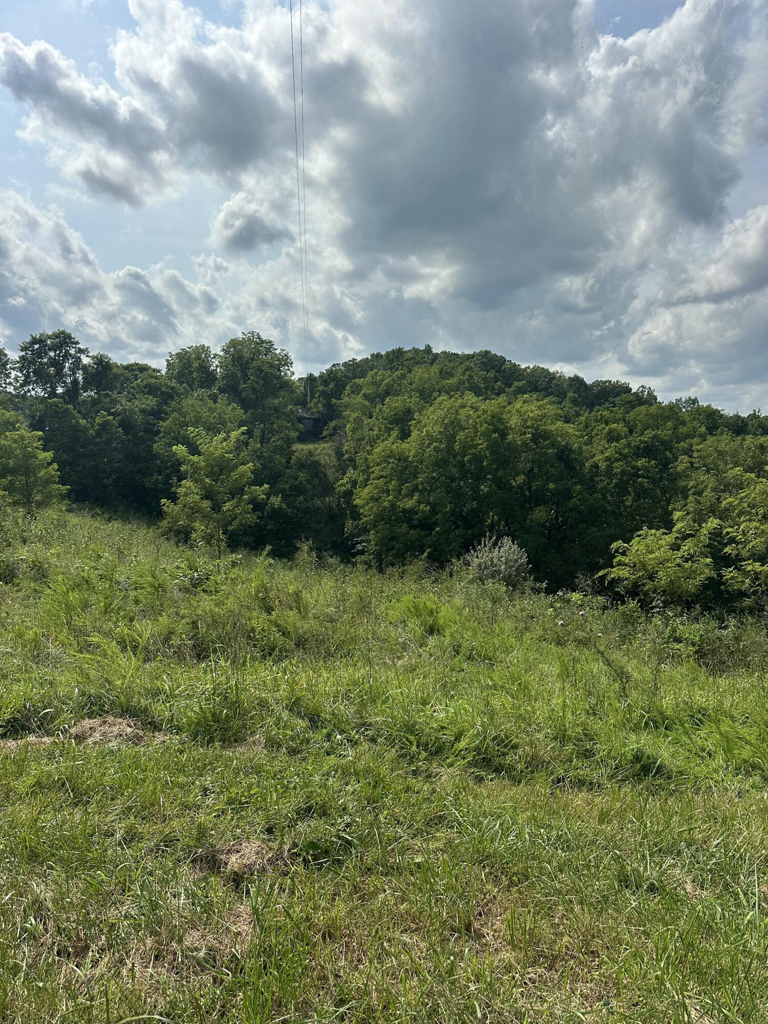527 S Dividing Ridge Road Property Photo 15