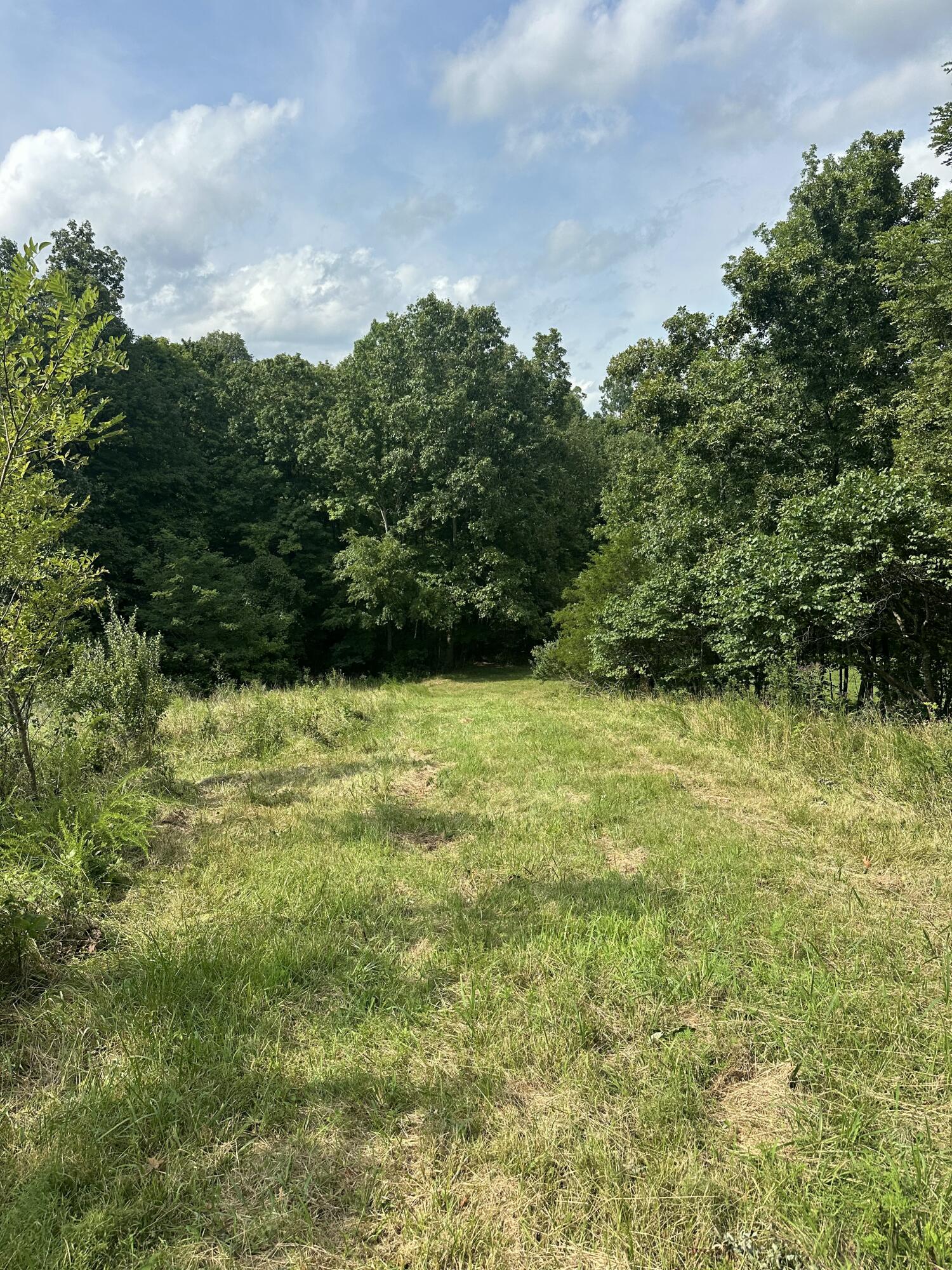 527 S Dividing Ridge Road Property Photo 17