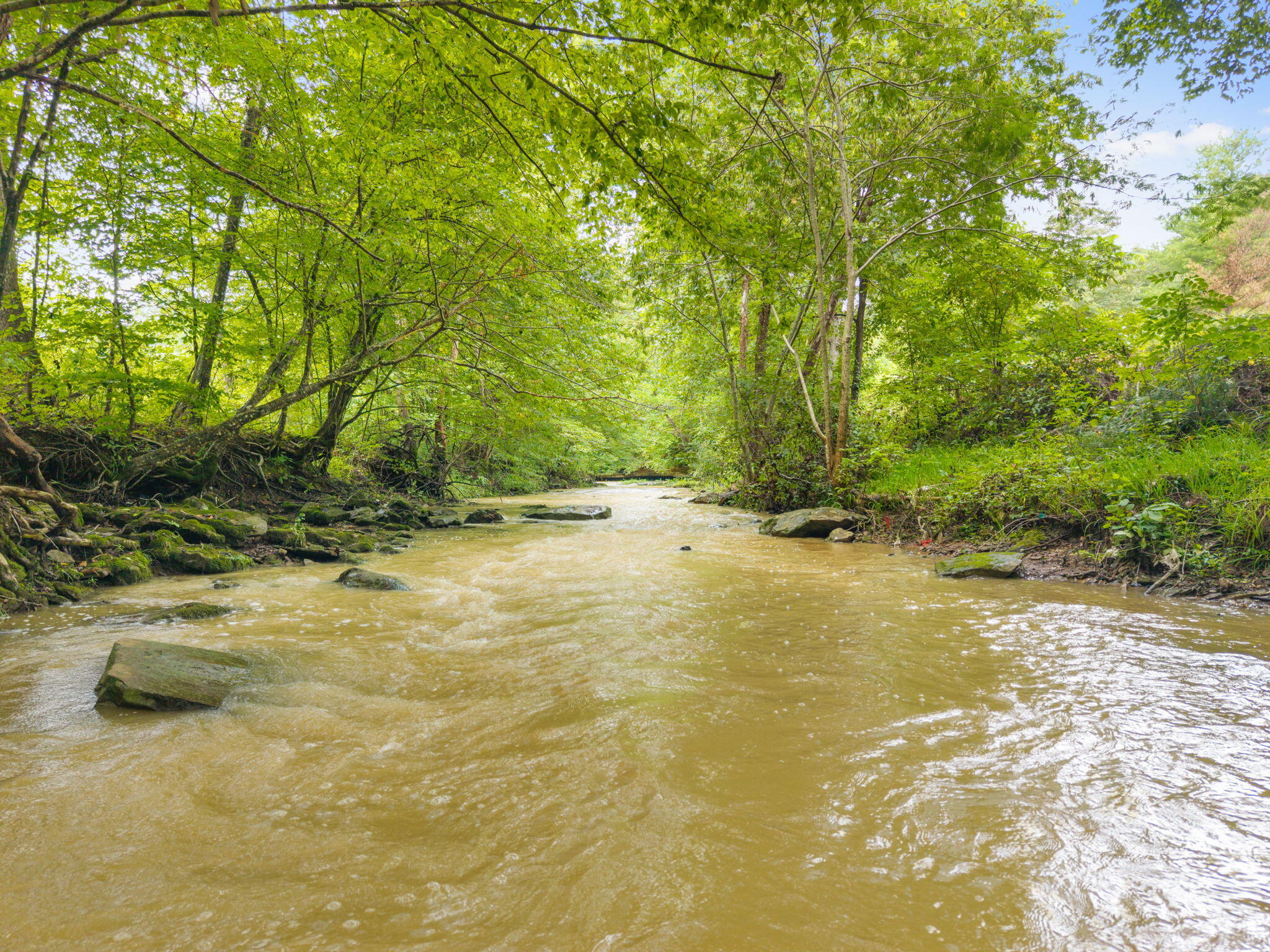 691 Buck Creek Road Property Photo 3