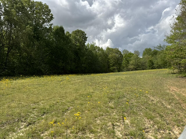 000 Dunlap Road Property Photo 8