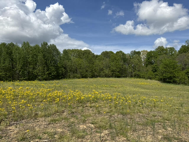 000 Dunlap Road Property Photo 9