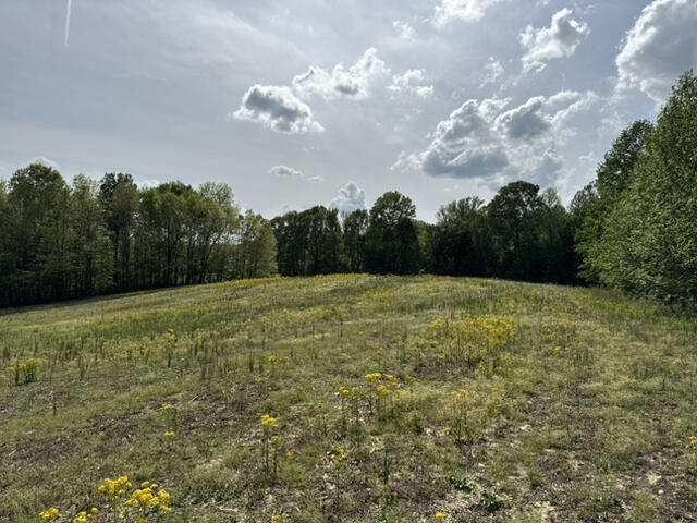 000 Dunlap Road Property Photo 10