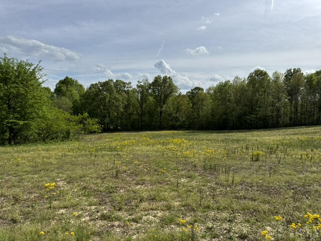 000 Dunlap Road Property Photo 11