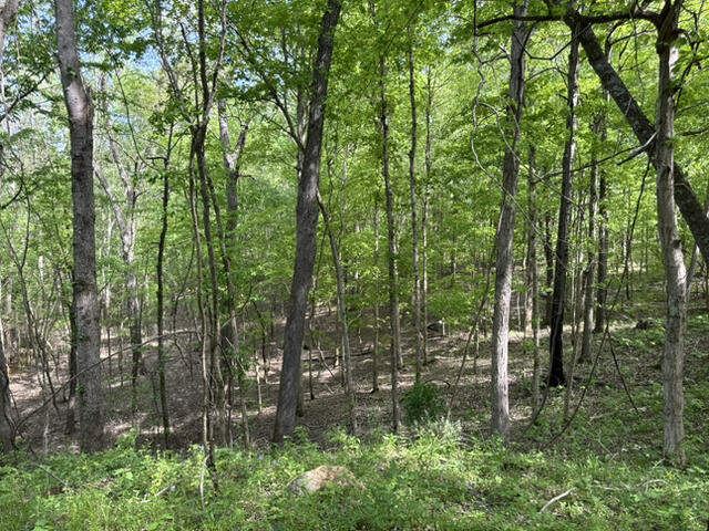 000 Dunlap Road Property Photo 13