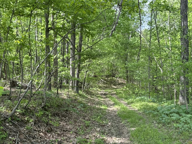 000 Dunlap Road Property Photo 14