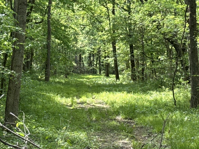 000 Dunlap Road Property Photo 15