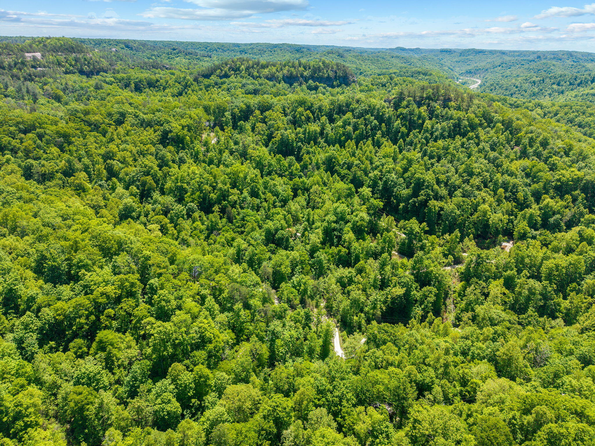 Lot 49 Summit Development Property Photo 3