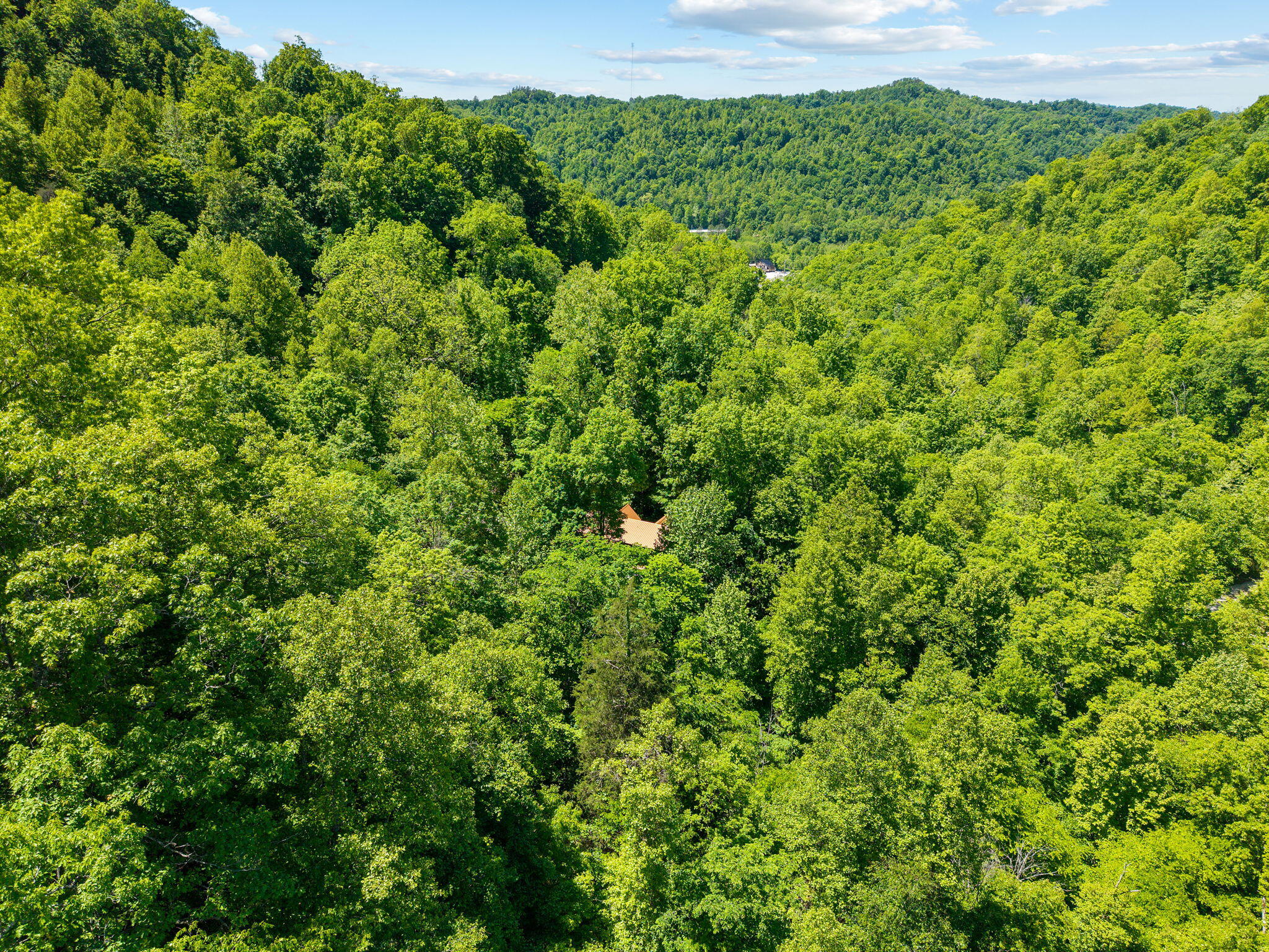 Lot 50 Summit Development Property Photo 5