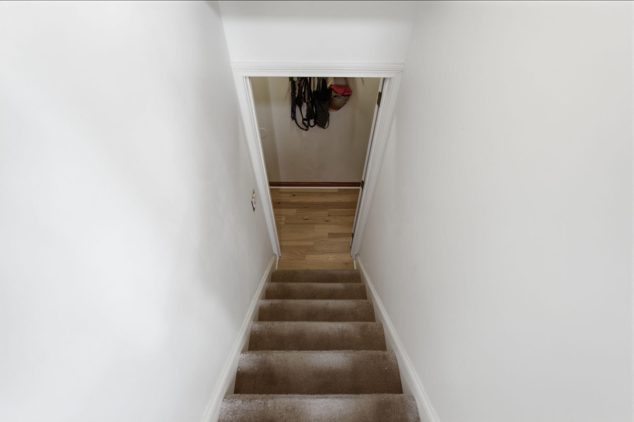 3920 Boston Road Property Photo 31