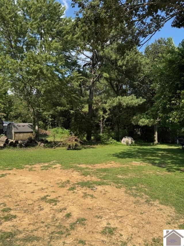 172 Mobile Heights Property Photo 3