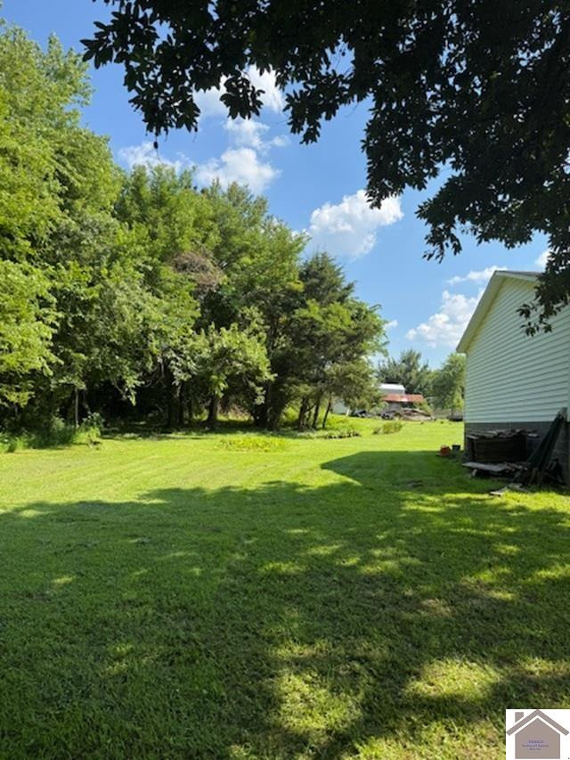 172 Mobile Heights Property Photo 4