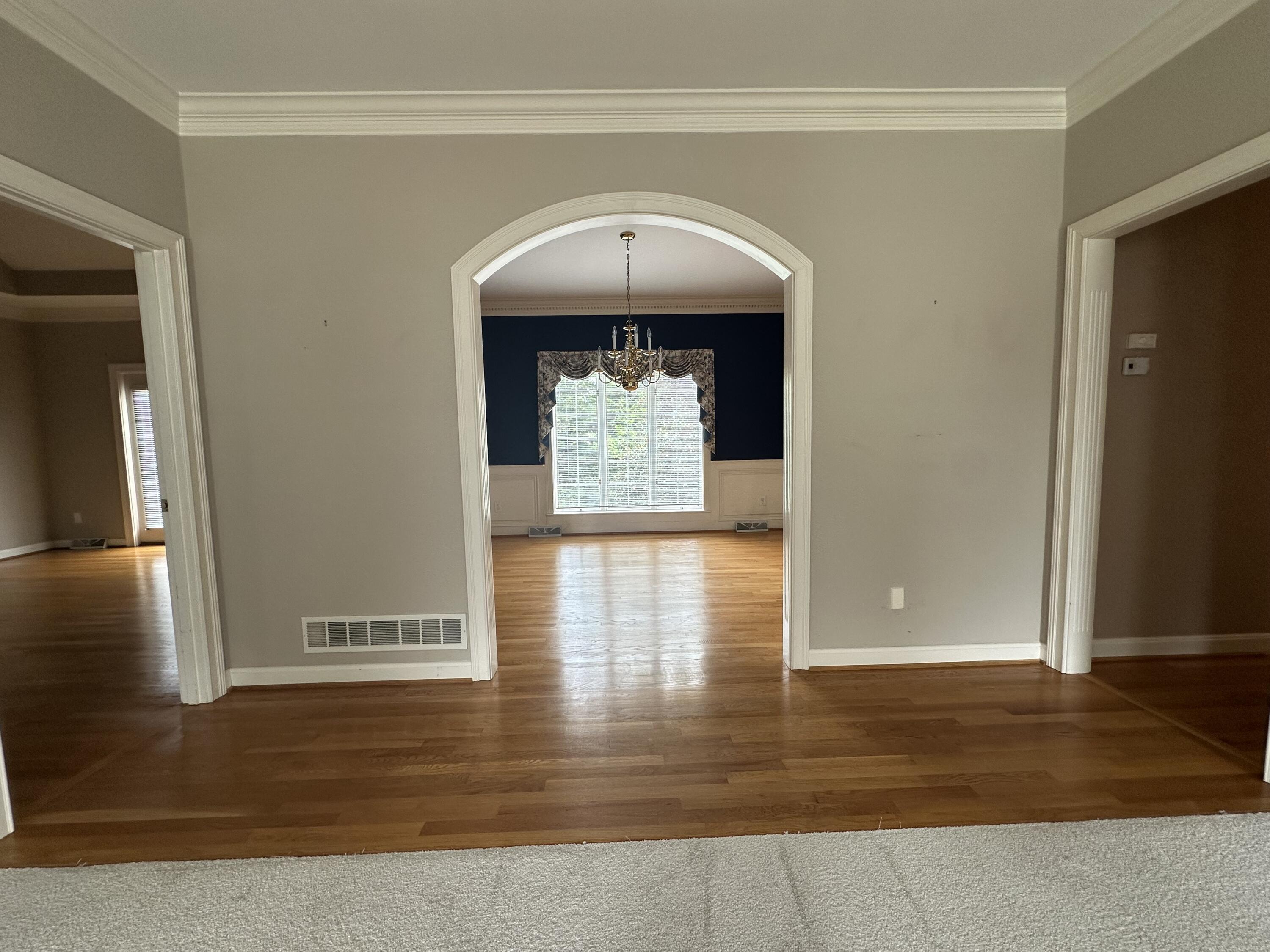 132 Lana Lane Property Photo 25