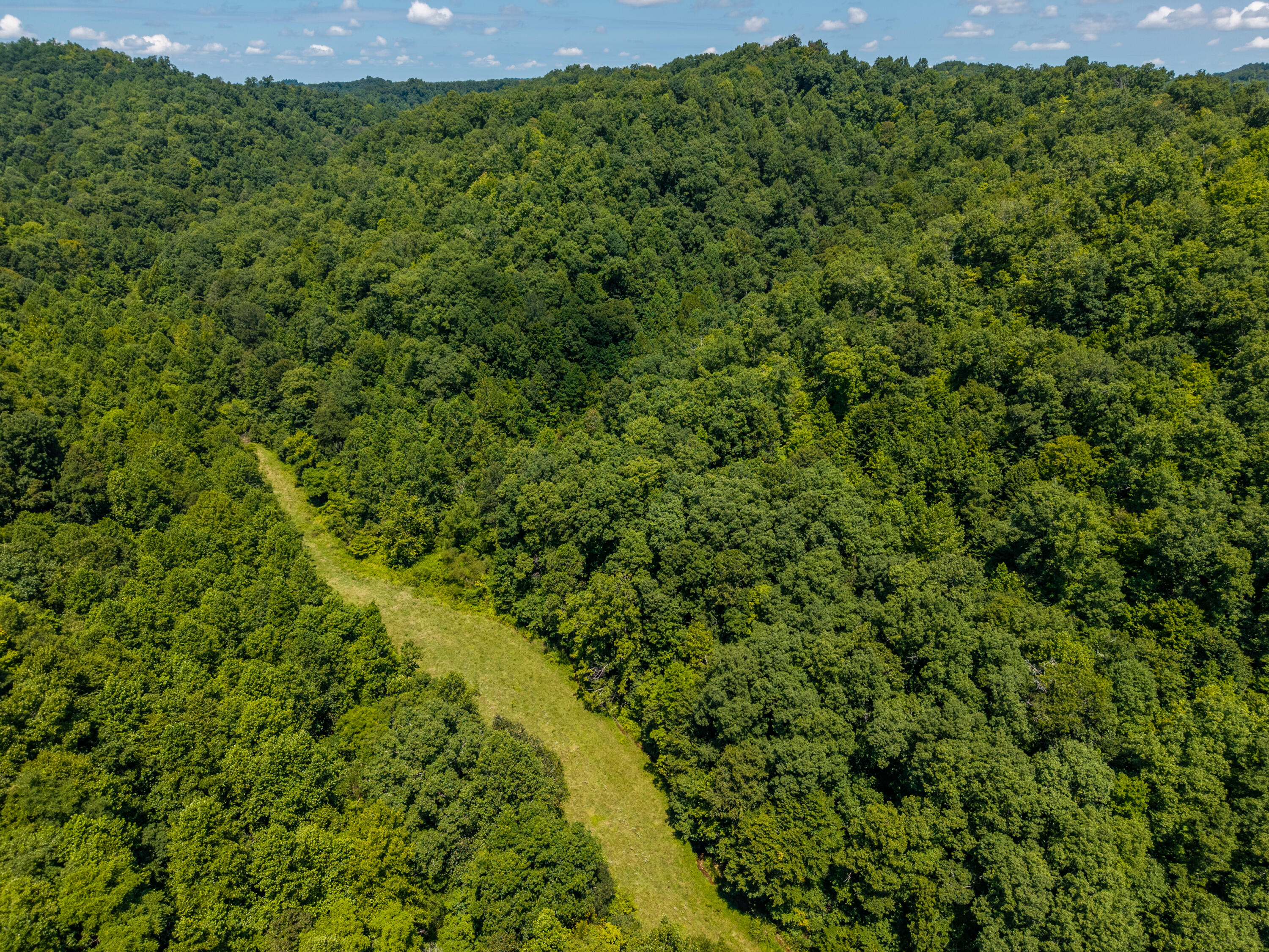 0 Davis Fork Property Photo 16