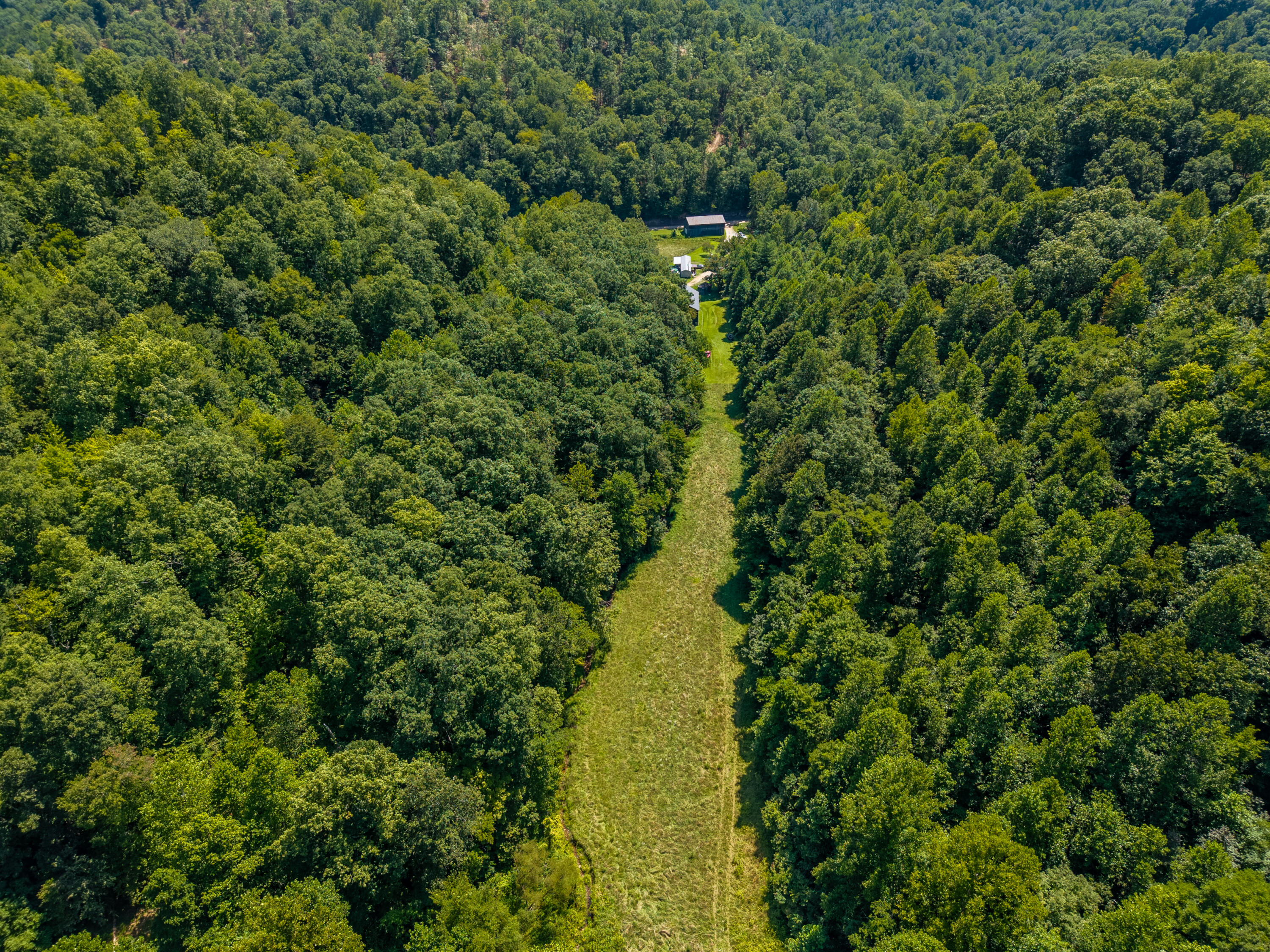 0 Davis Fork Property Photo 19