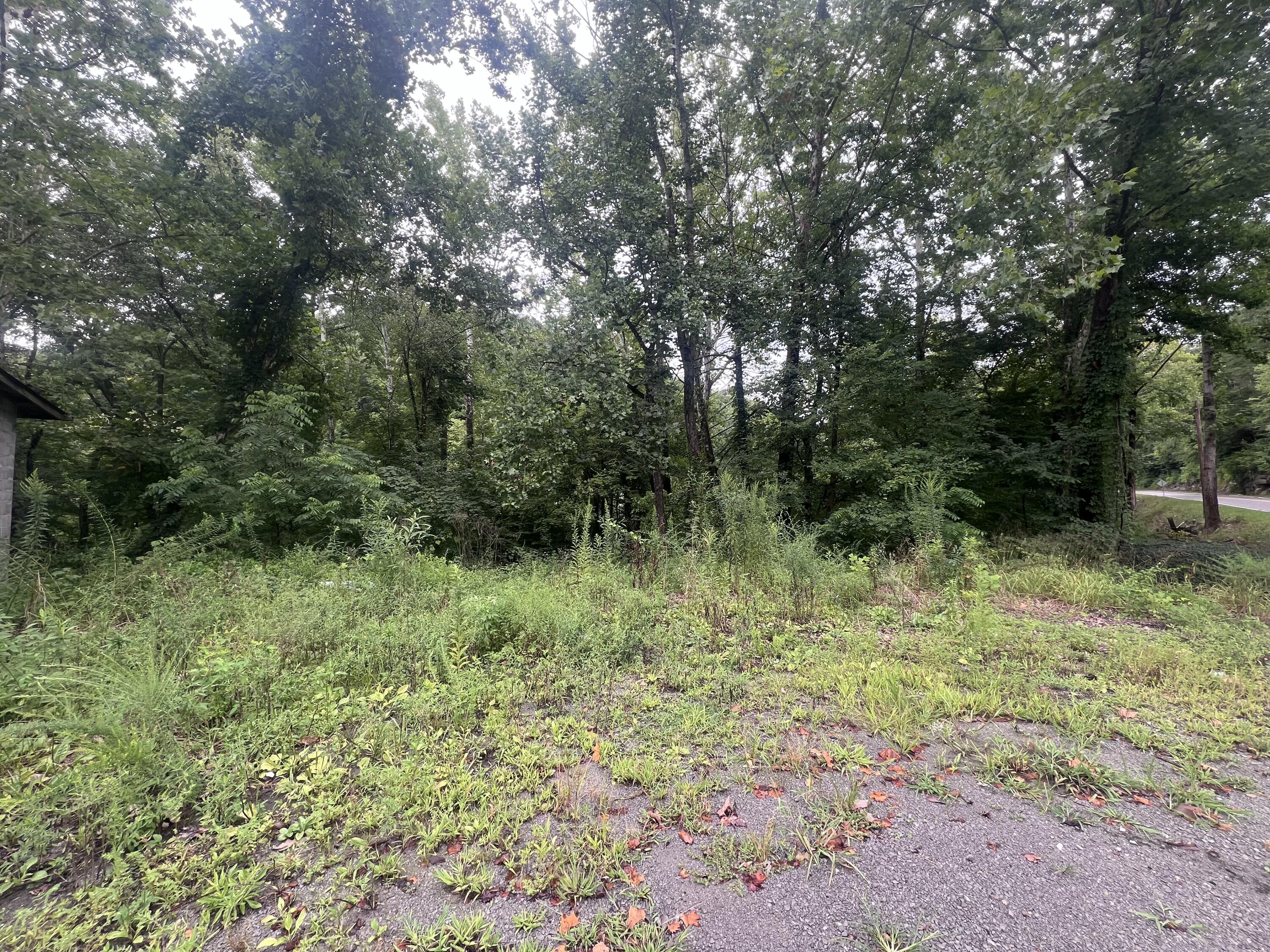 6731 Ky-66 Property Photo 2