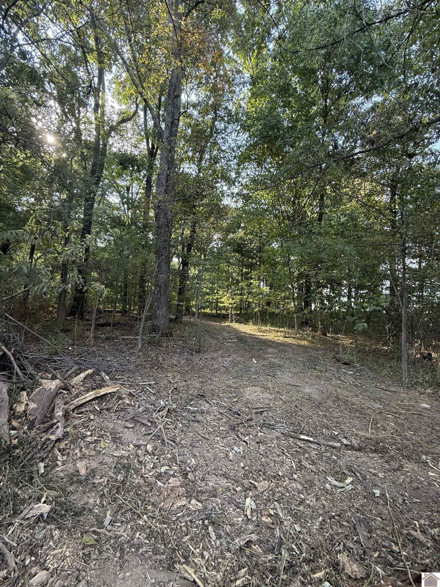 1473 Watson Road Property Photo 33