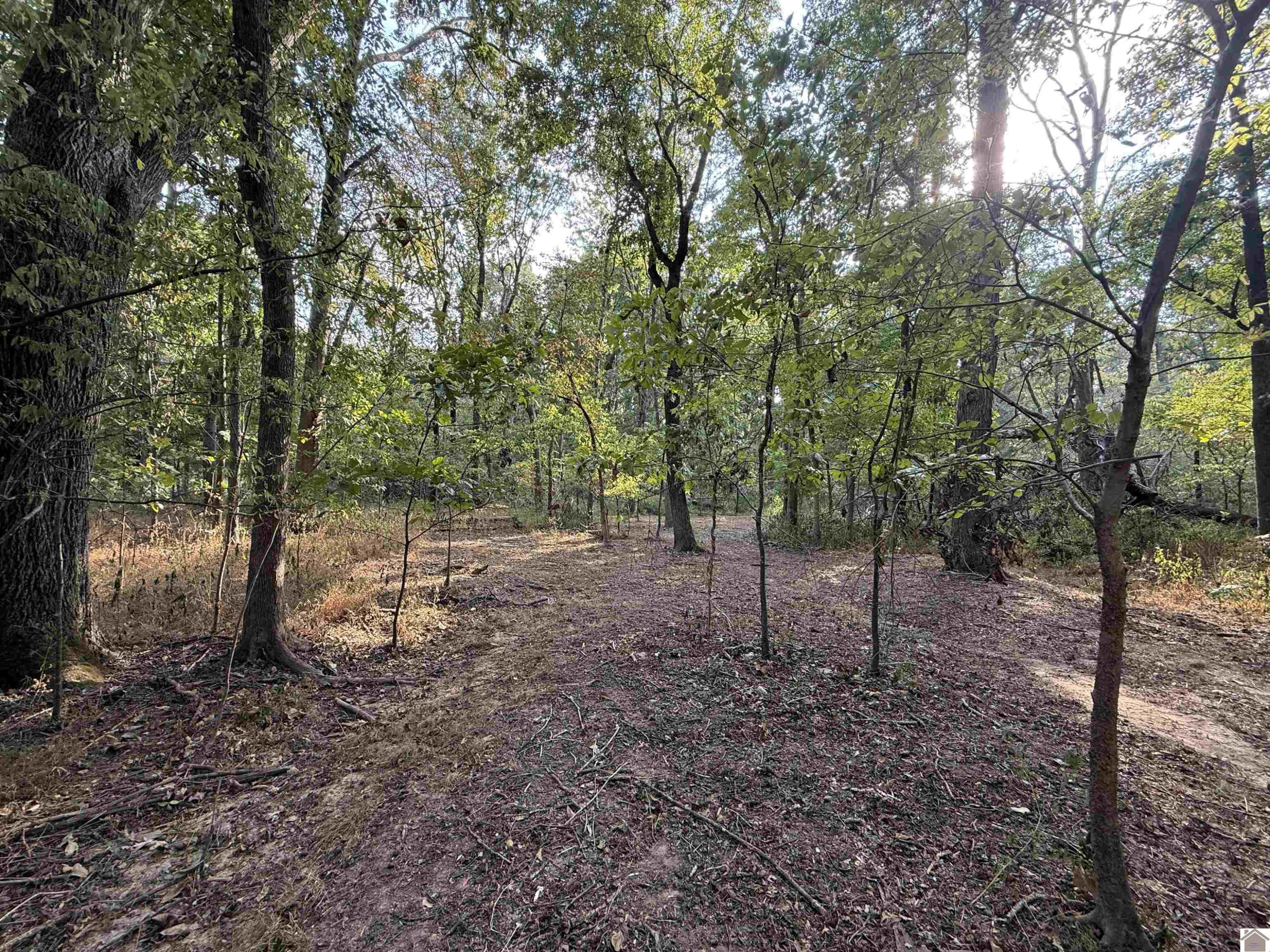 1473 Watson Road Property Photo 34