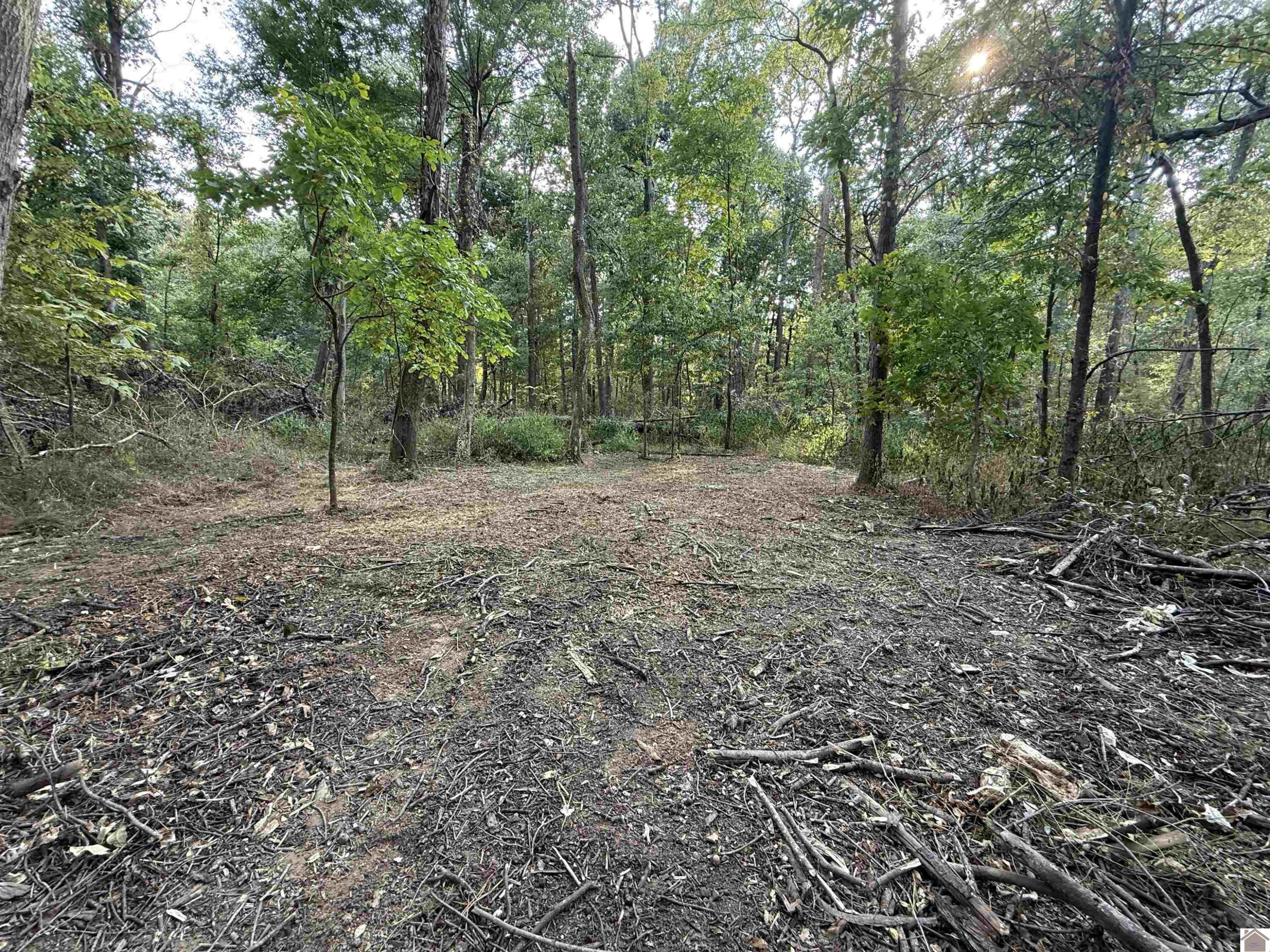 1473 Watson Road Property Photo 35